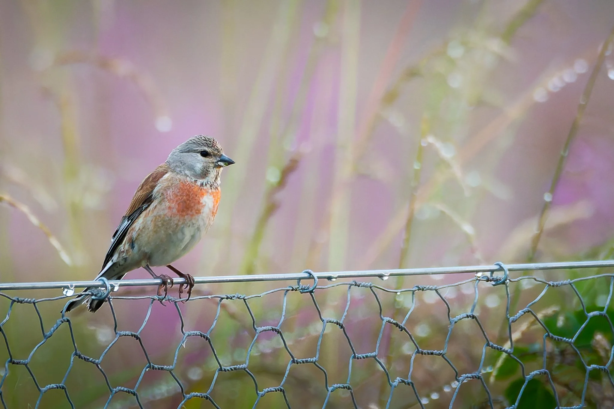 28AUG (16 of 78).jpg