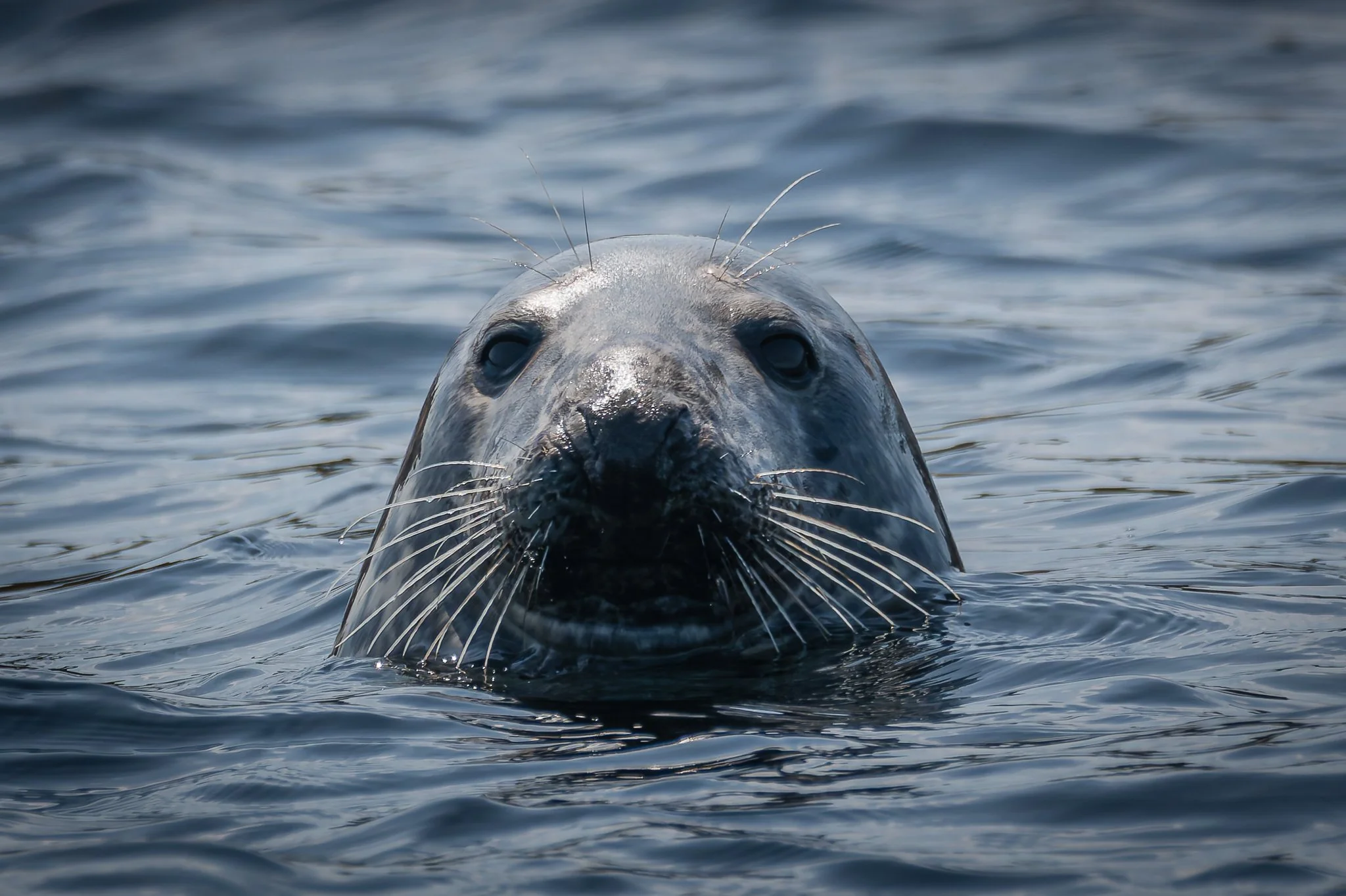 20.06.25 (23 of 51).jpg