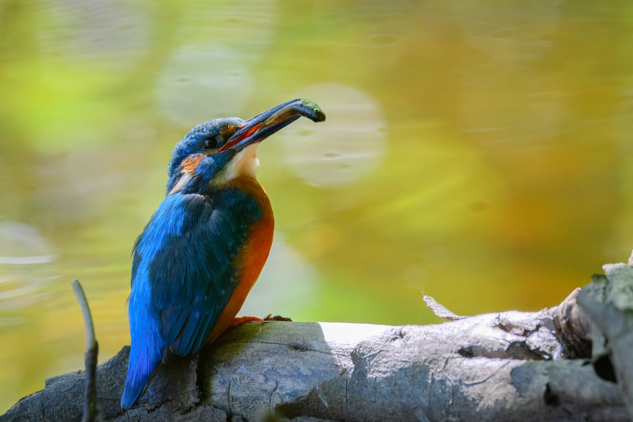 22.05.25 (21 of 34).jpg