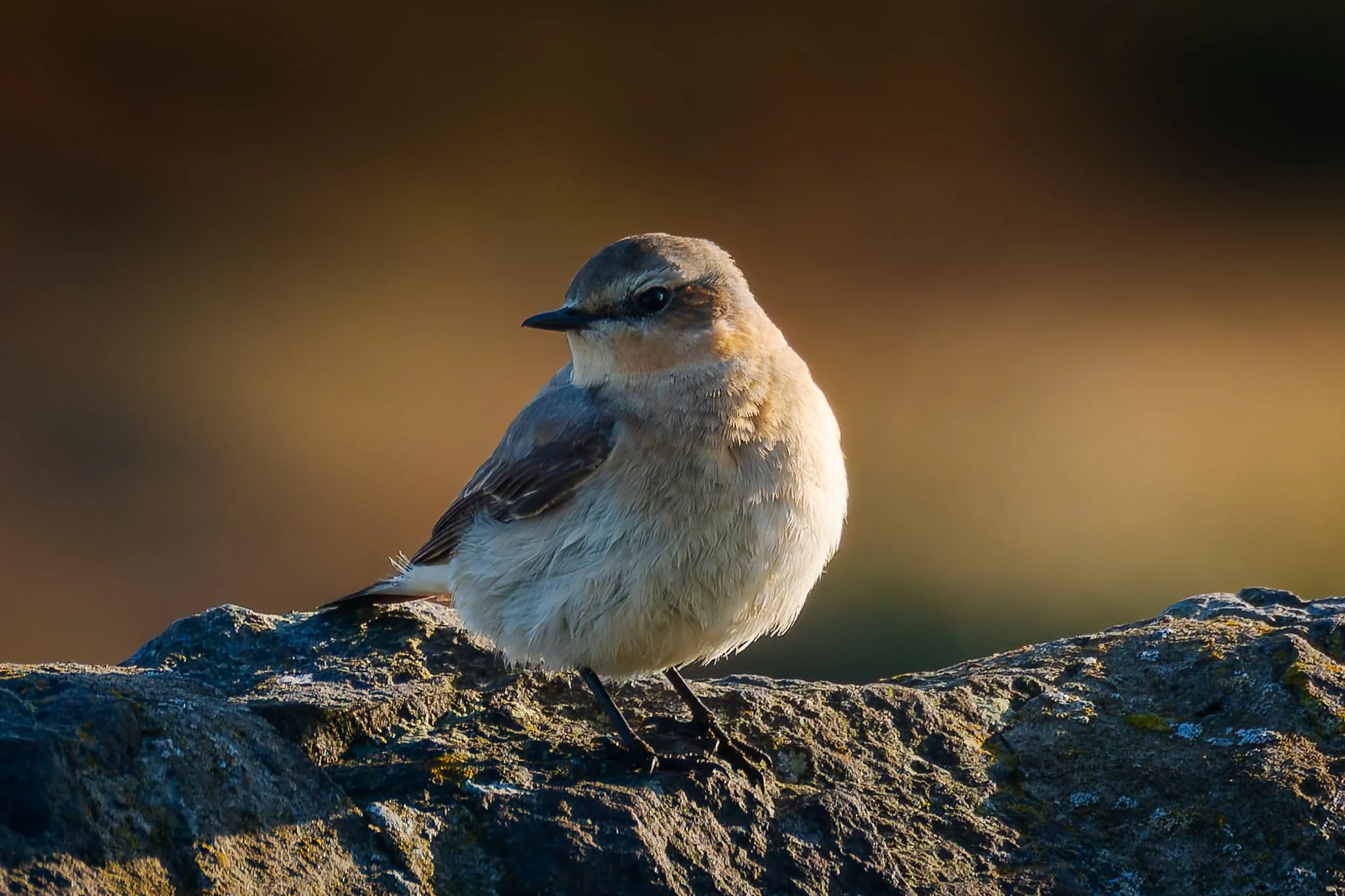 20.06.25 (10 of 51).jpg