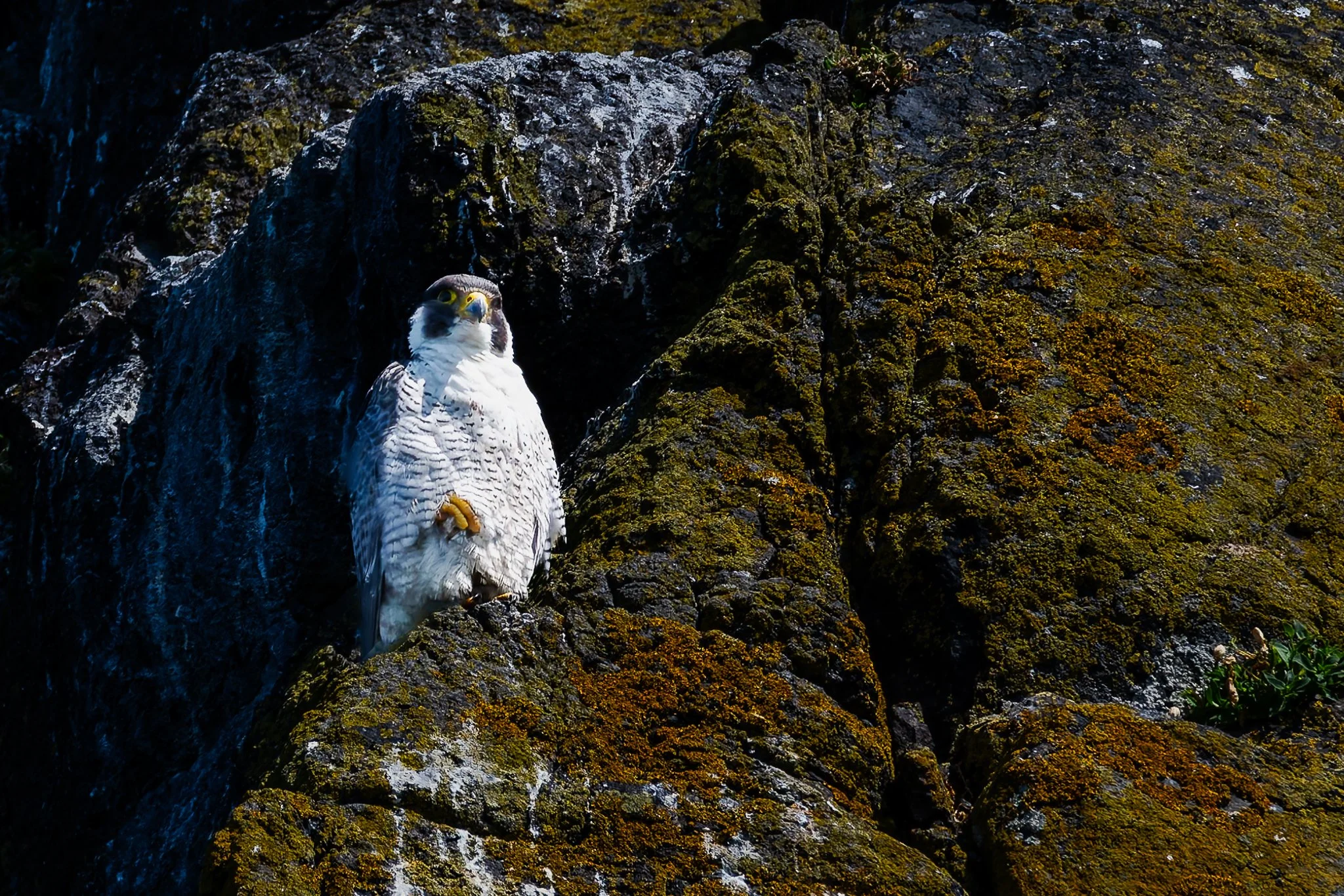 20.06.25 (30 of 51).jpg