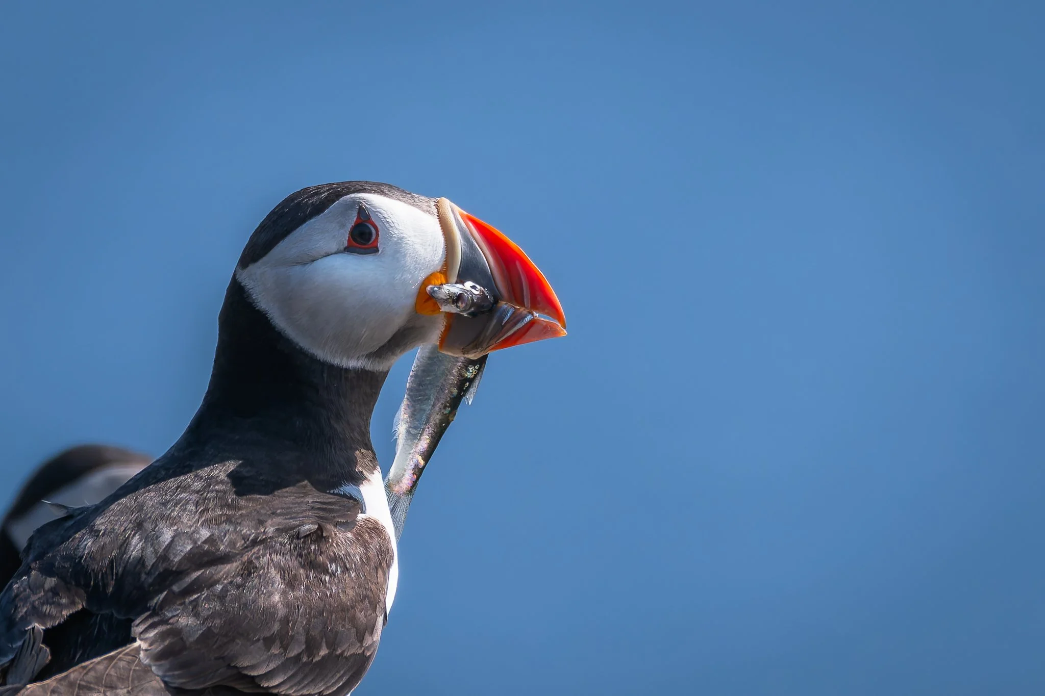 20.06.25 (42 of 51).jpg