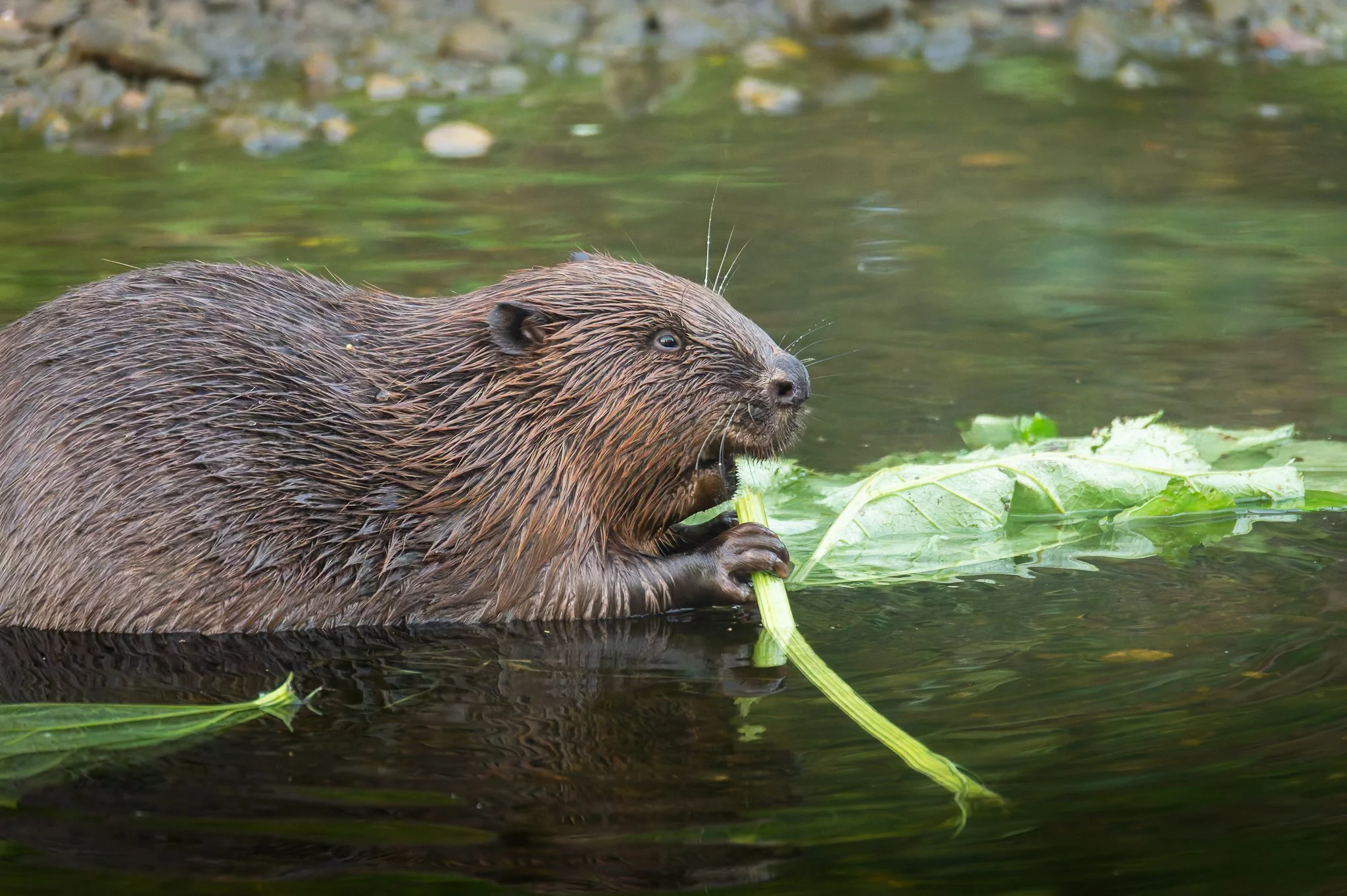 28AUG (34 of 78).jpg