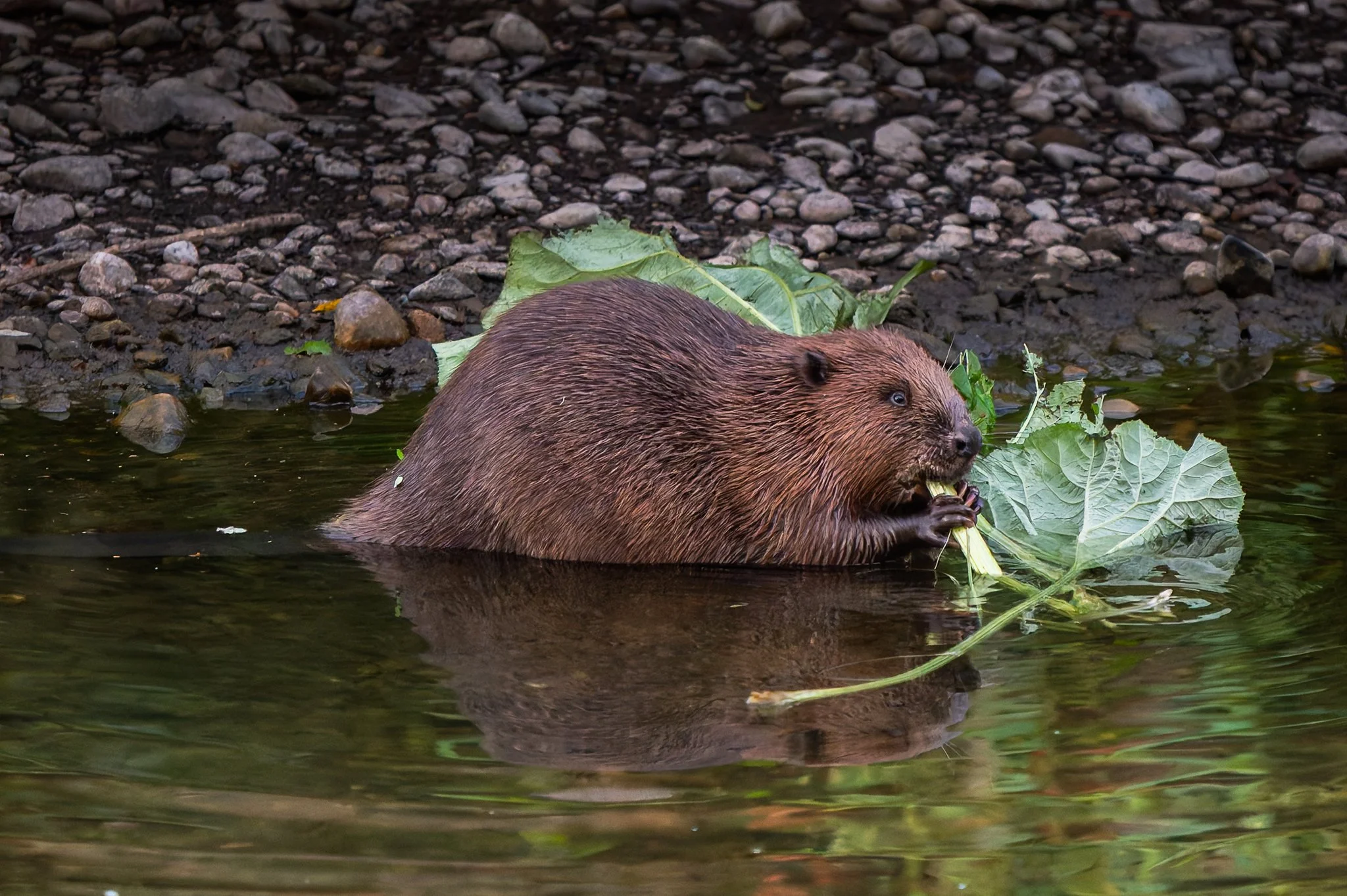 28AUG (28 of 78).jpg