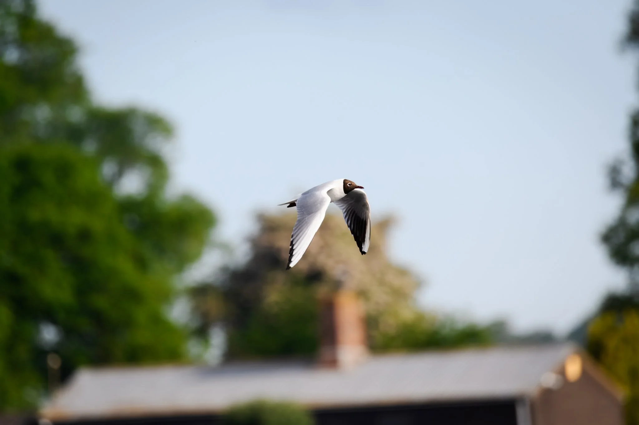 22.05.25 (11 of 34).jpg