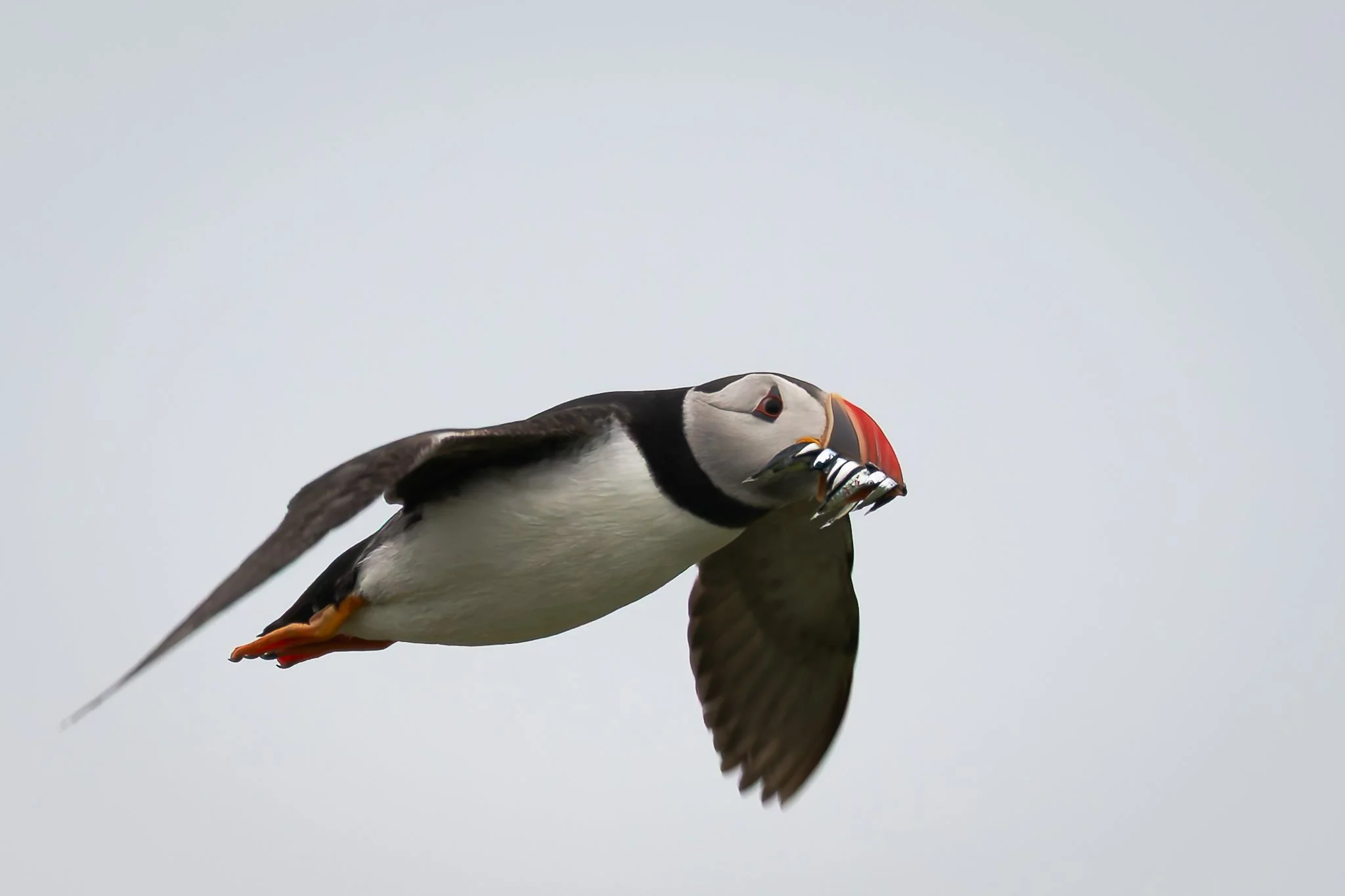 18.05.25 (41 of 49).jpg