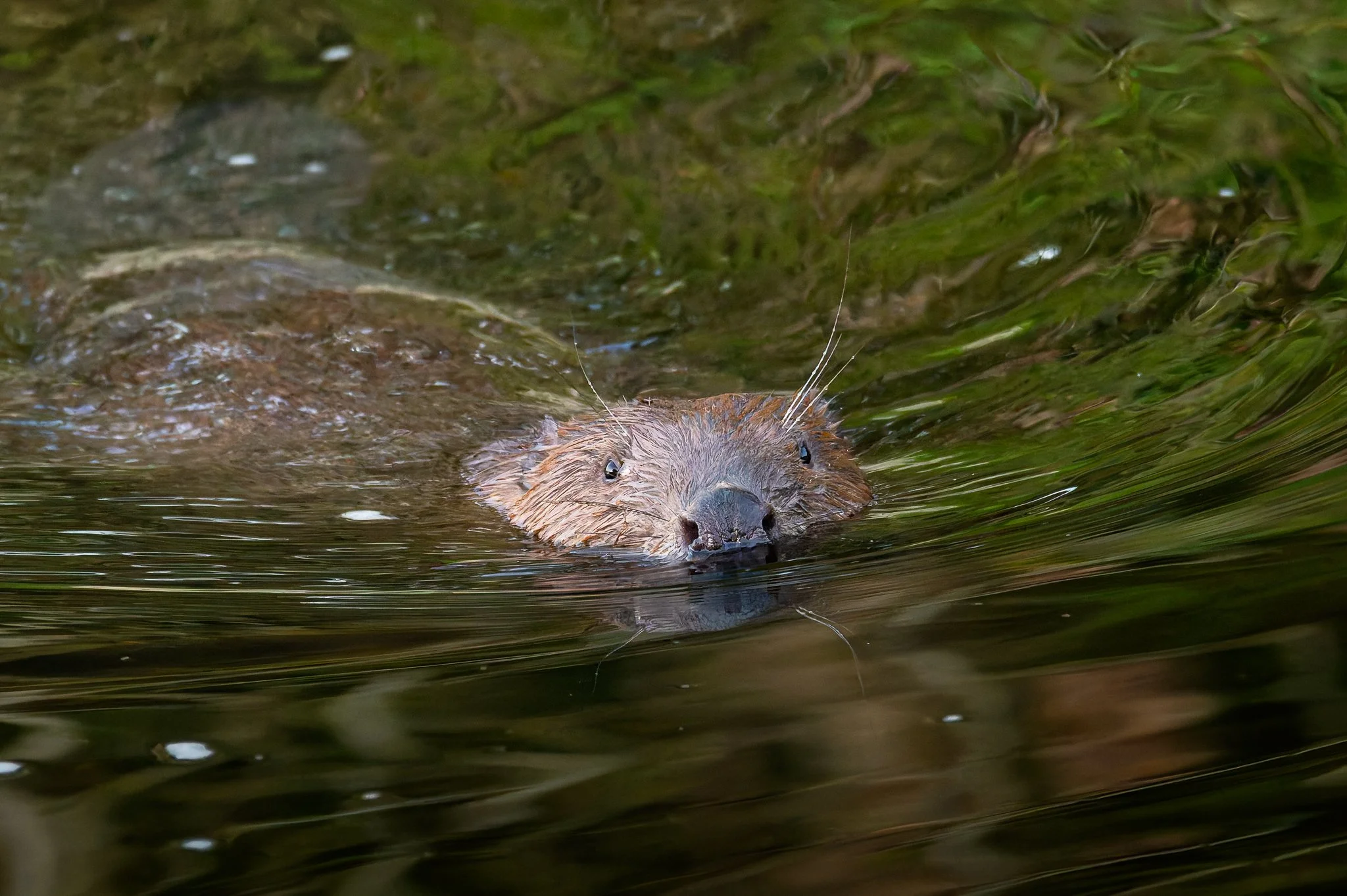 28AUG (32 of 78).jpg