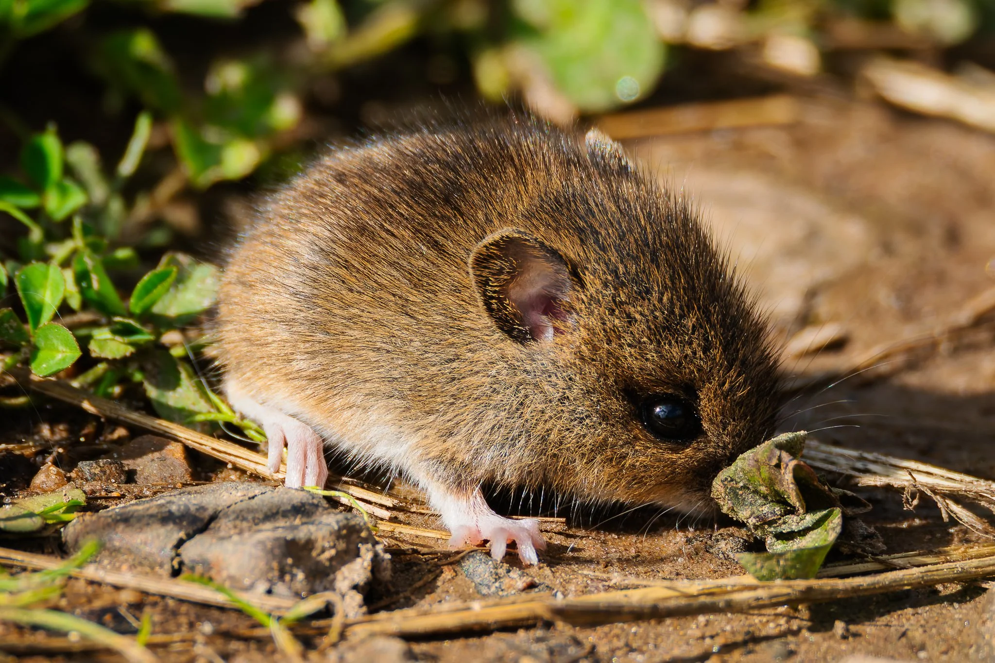 16SEP25 (3 of 7).jpg