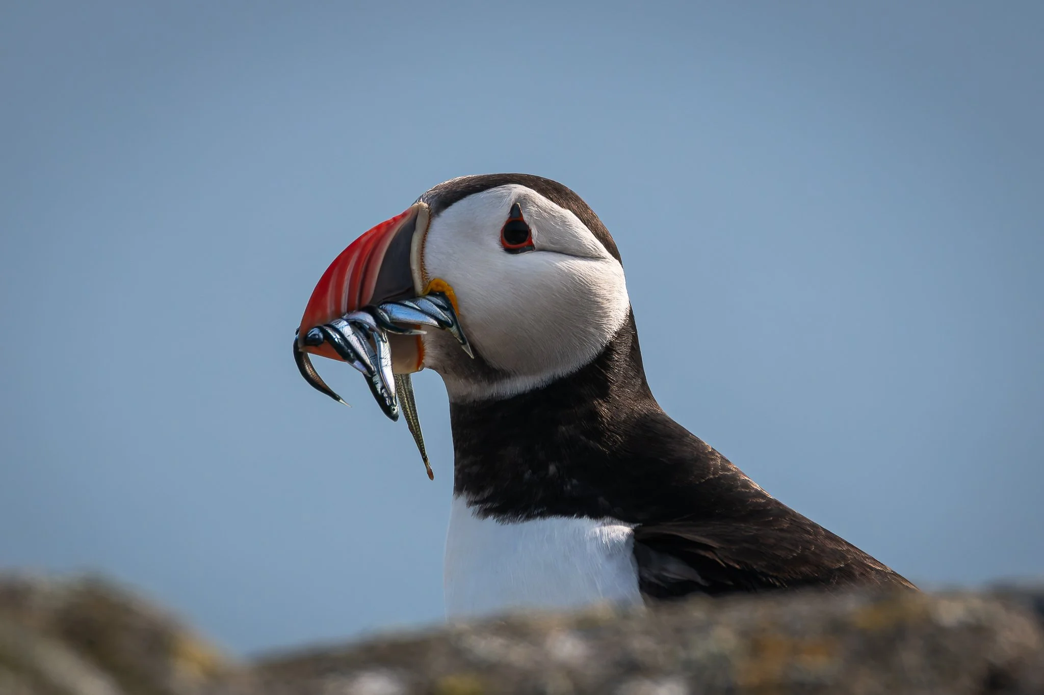 20.06.25 (49 of 51).jpg