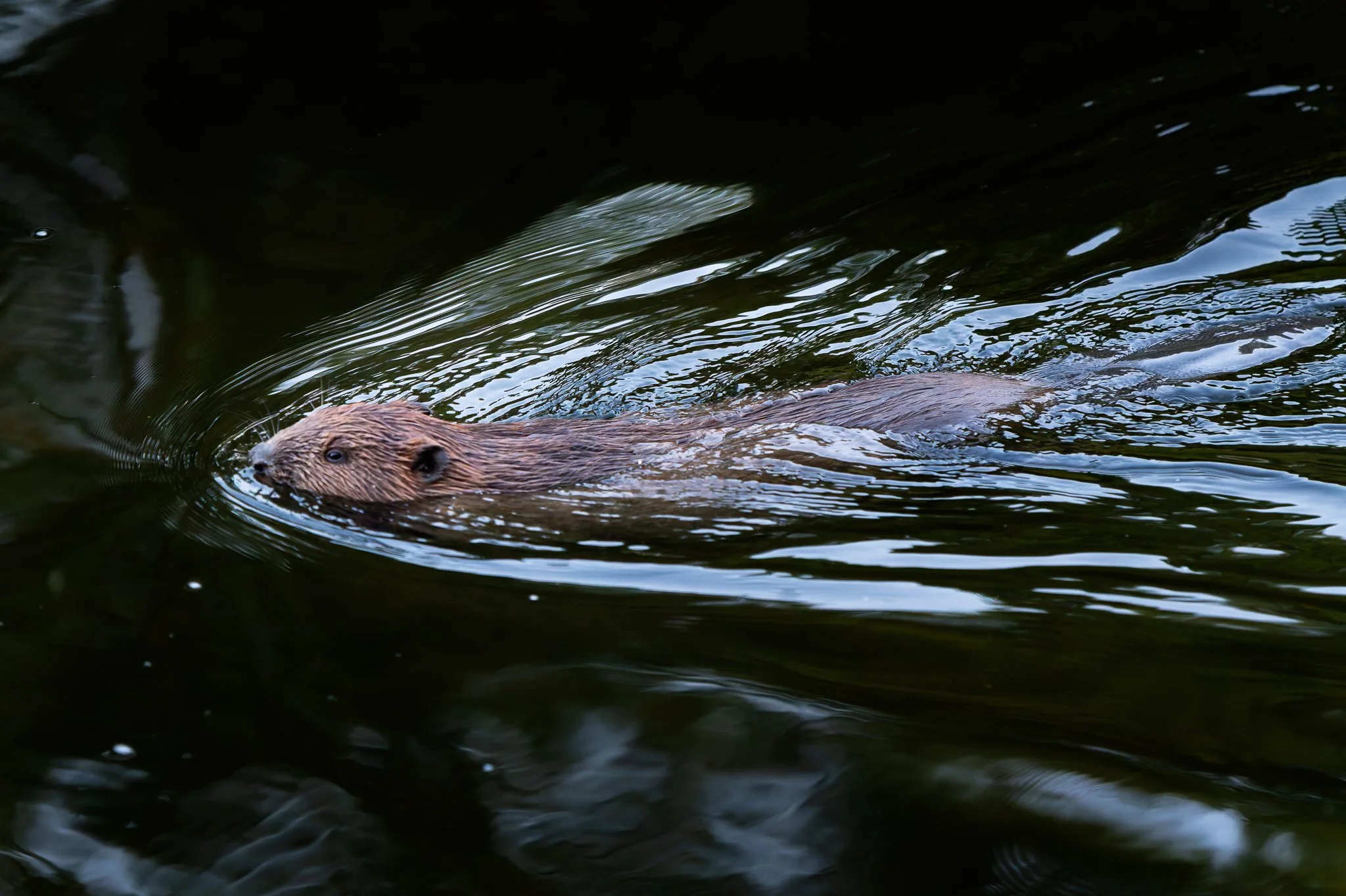 28AUG (30 of 78).jpg