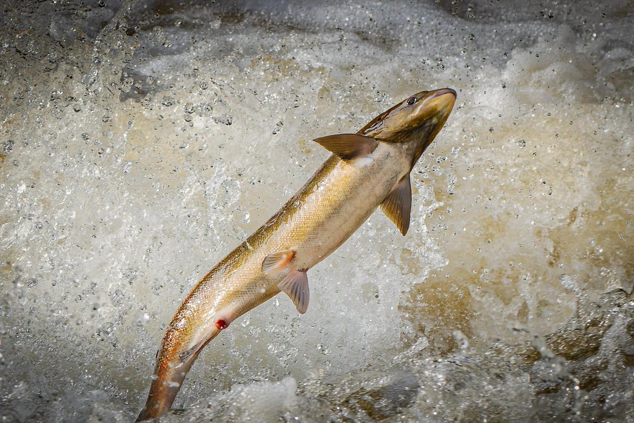 05.10.25 (41 of 45).jpg