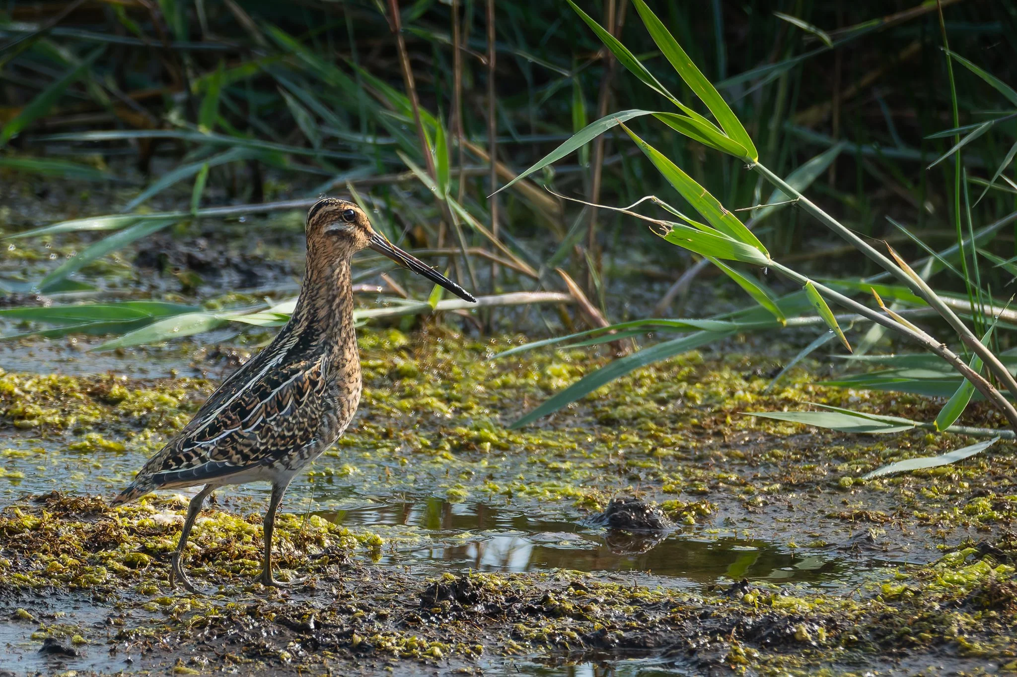 28AUG (60 of 78).jpg