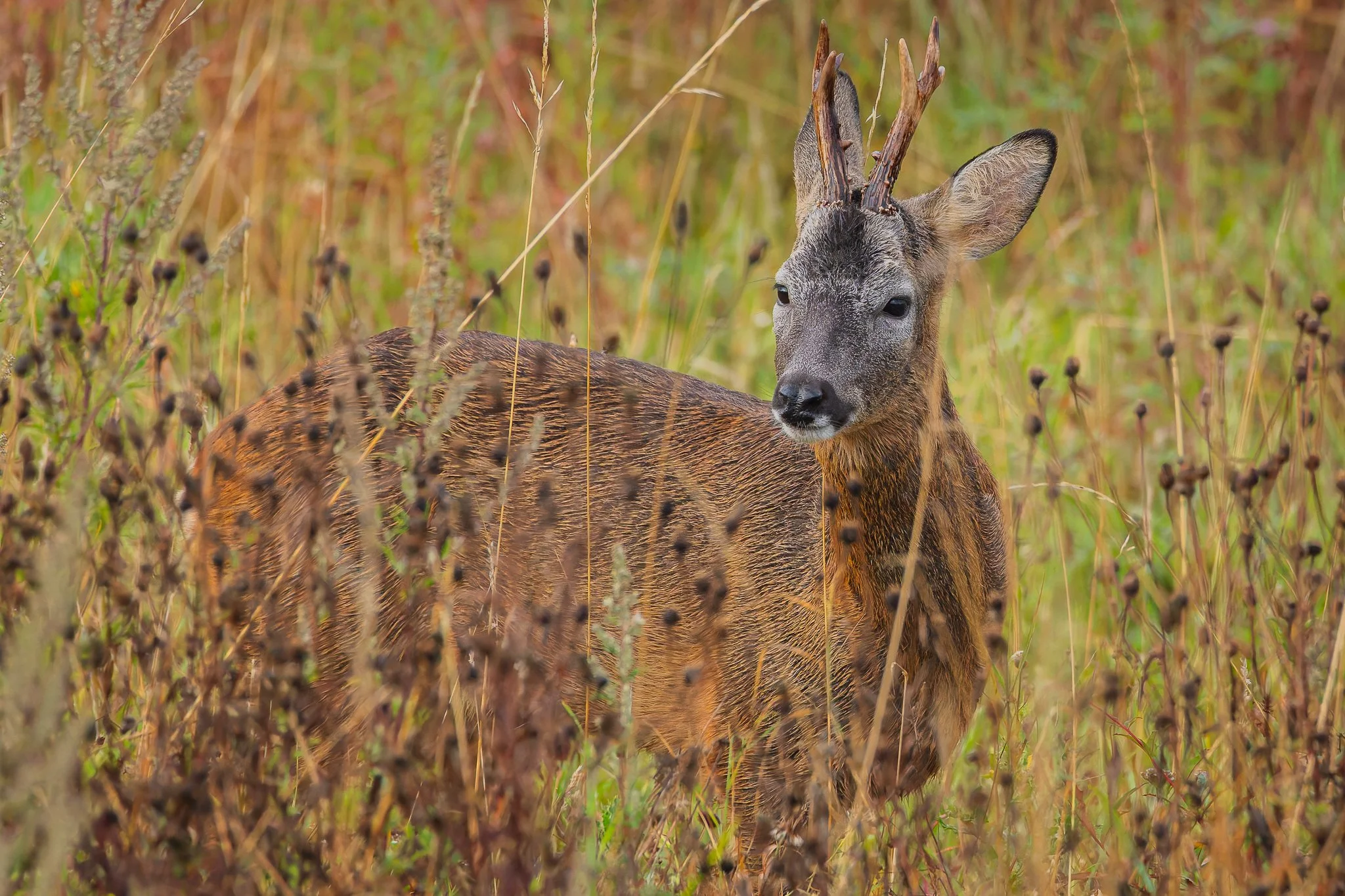 04SEP25 (2 of 11).jpg