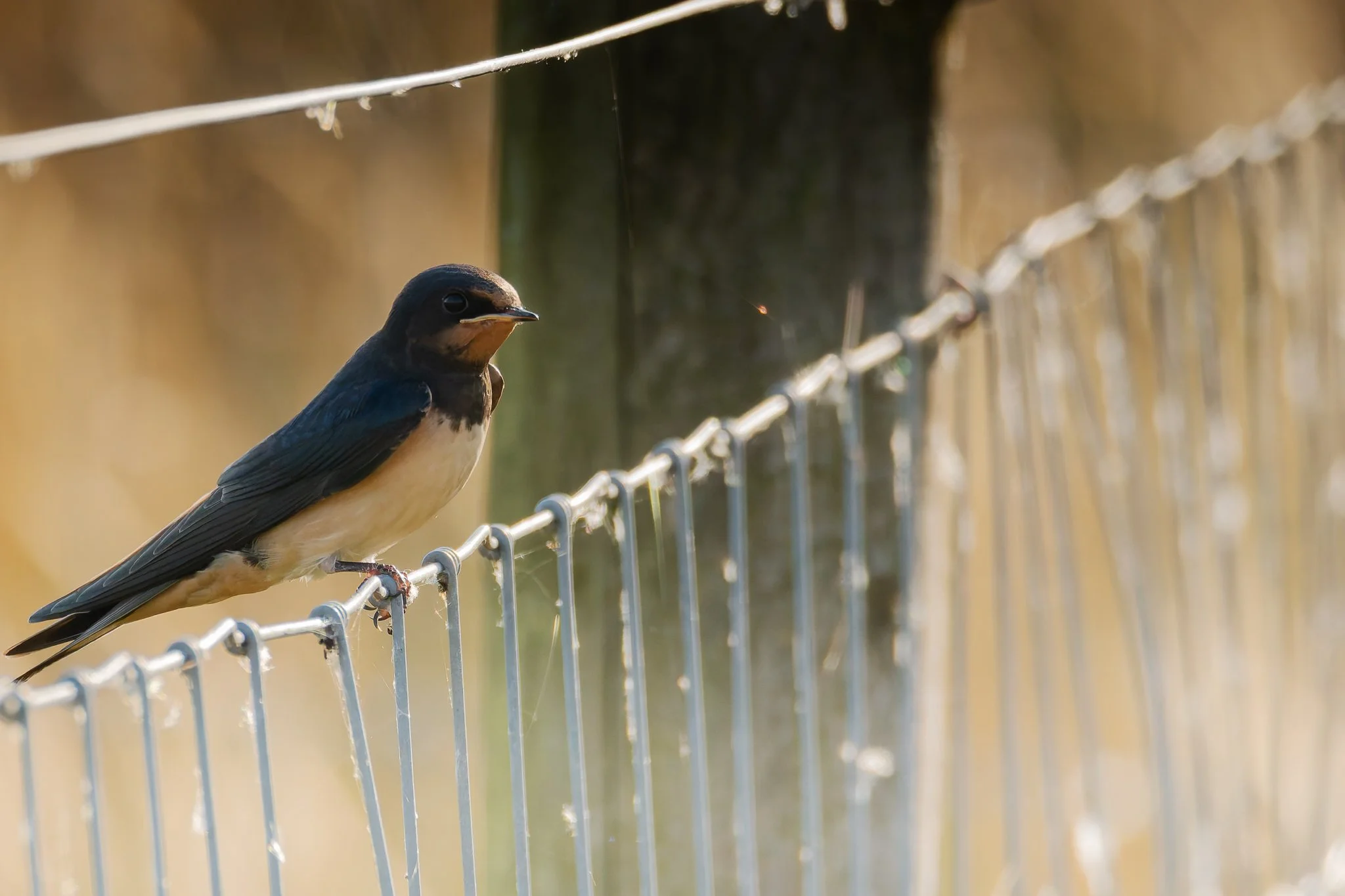 28AUG (51 of 78).jpg