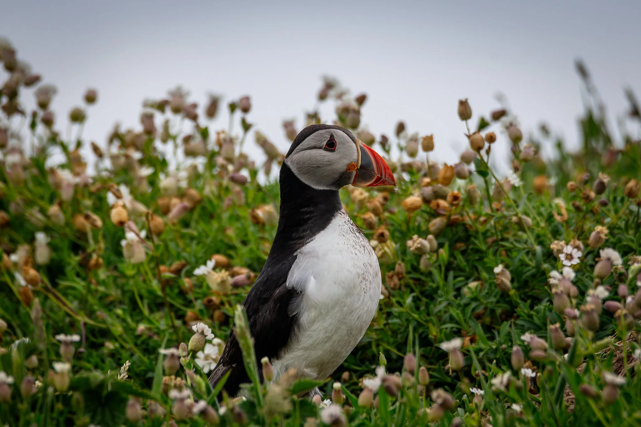 18.05.25 (32 of 49).jpg