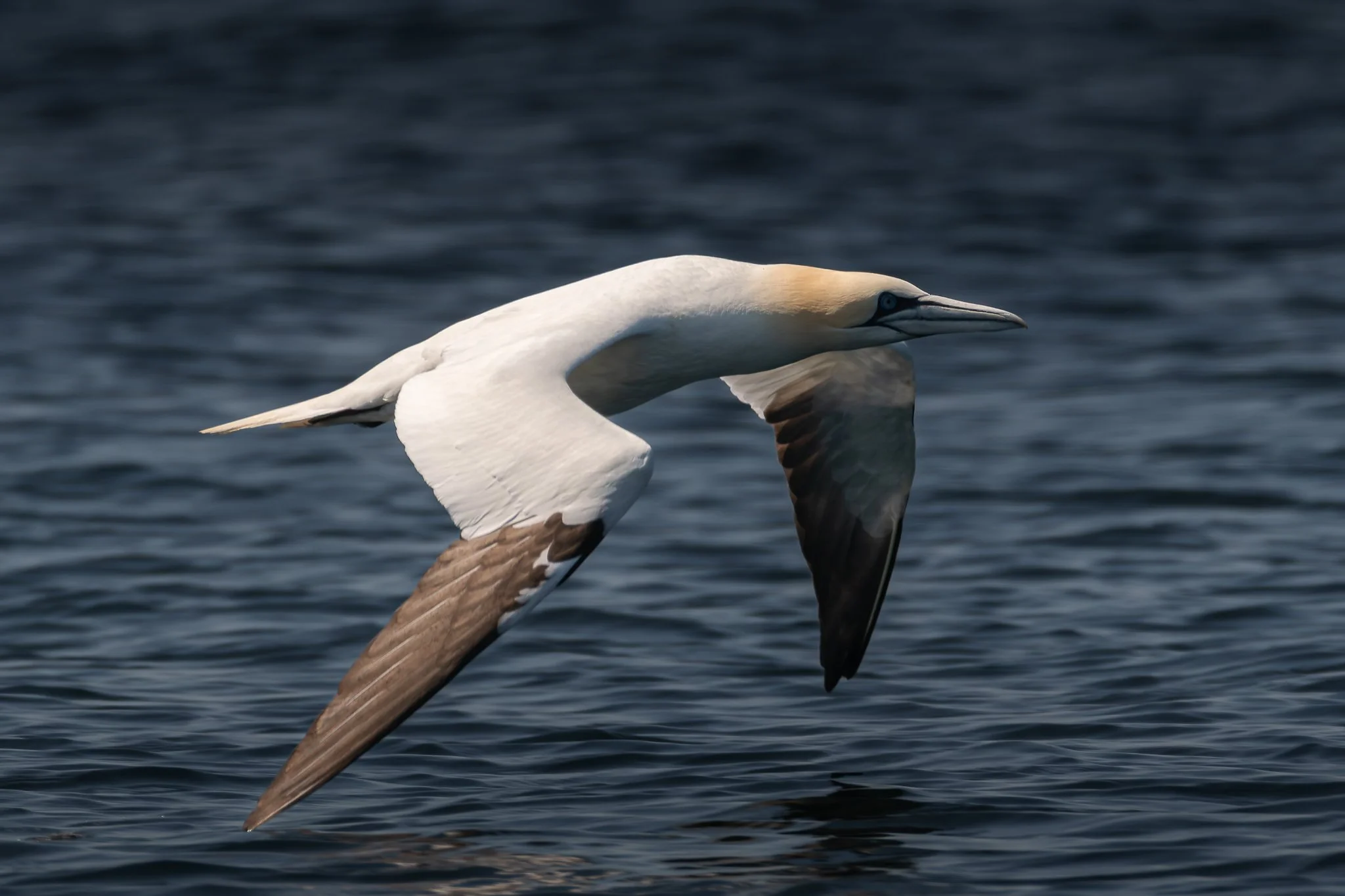 20.06.25 (26 of 51).jpg