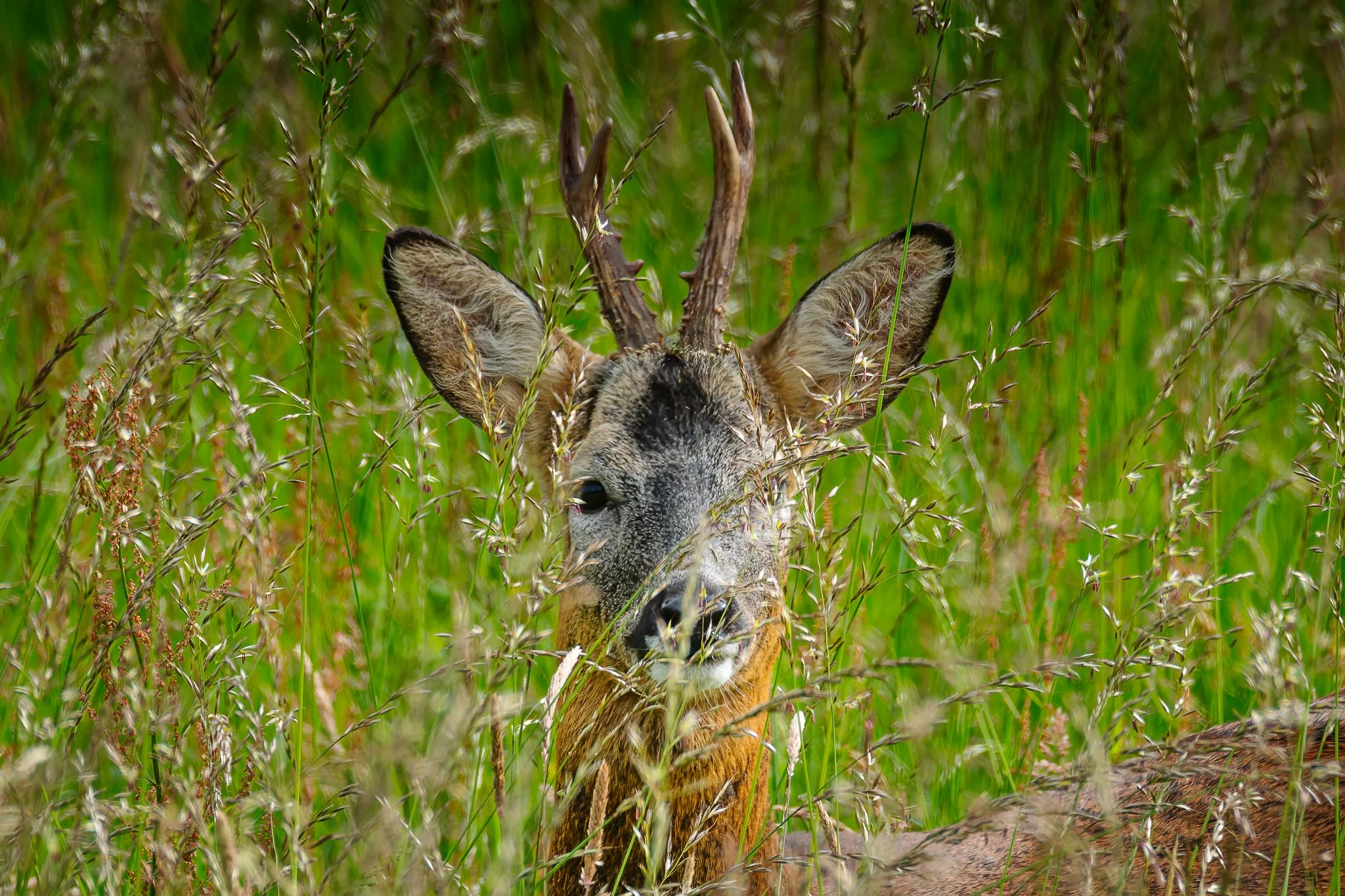 28AUG (12 of 78).jpg