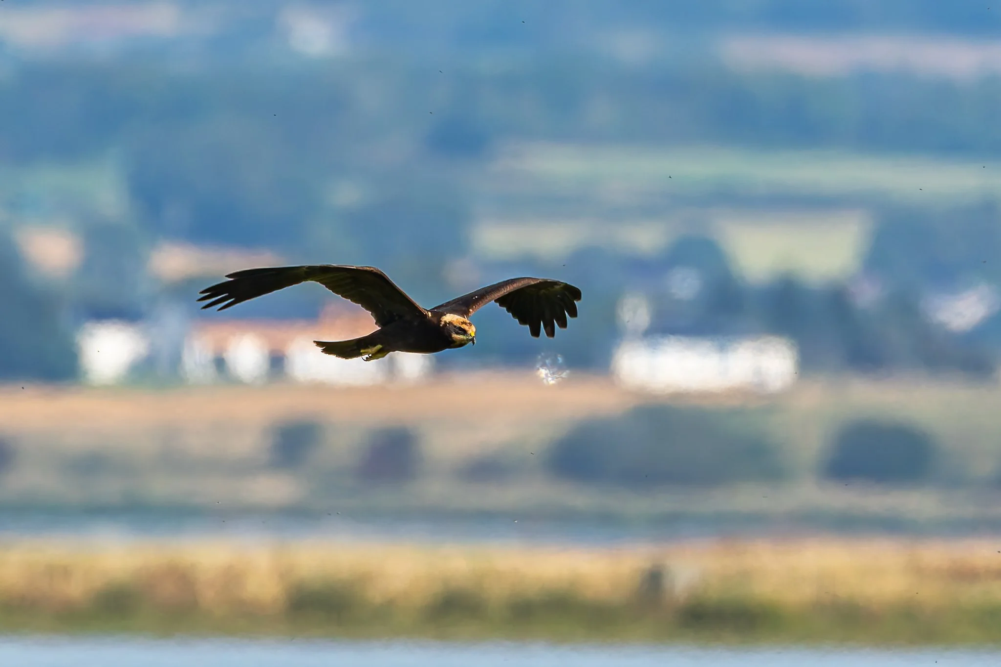 28AUG (72 of 78).jpg