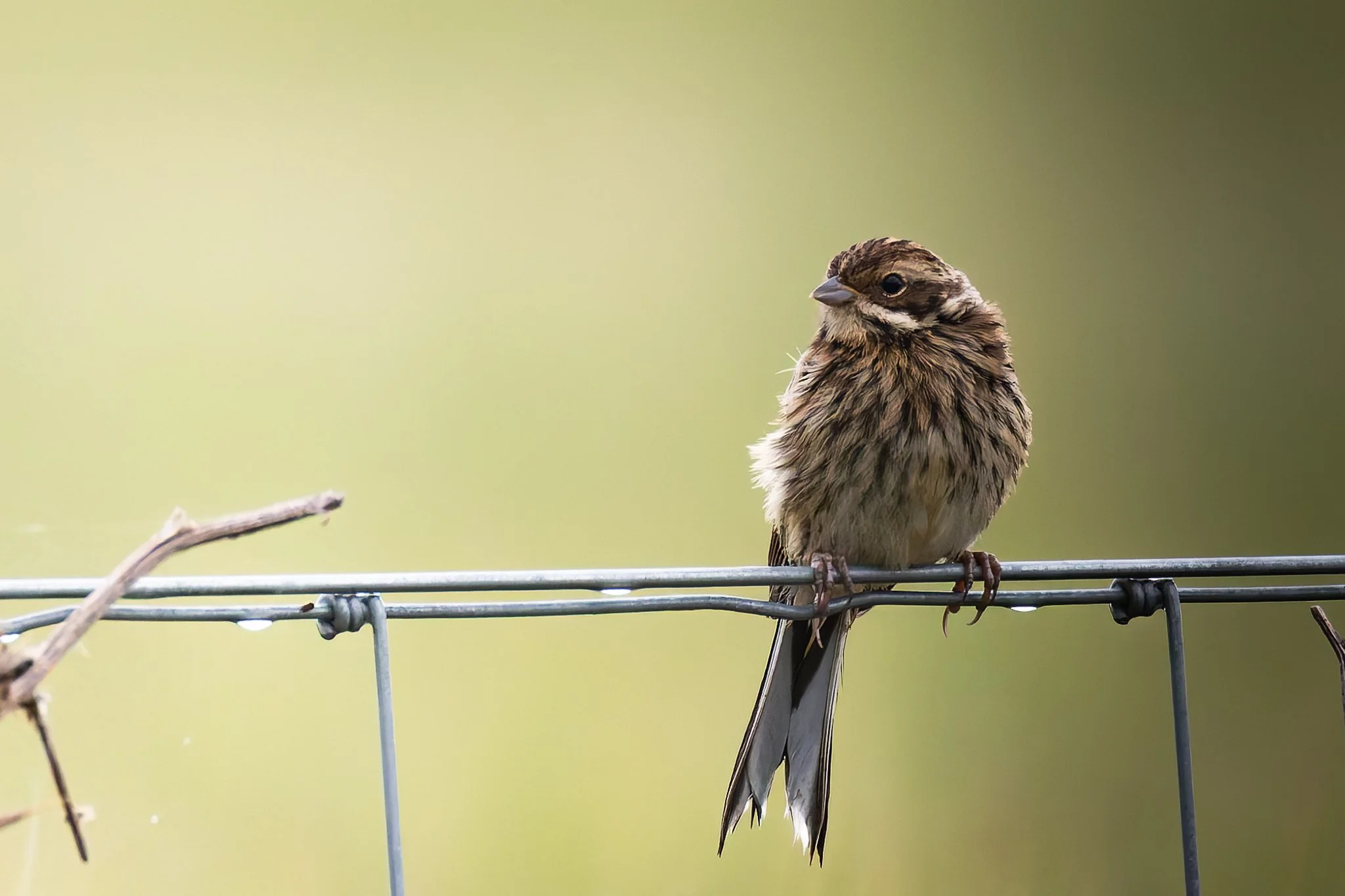 28AUG (17 of 78).jpg