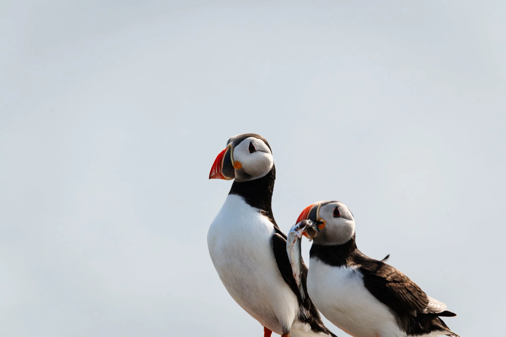 20.06.25 (47 of 51).jpg