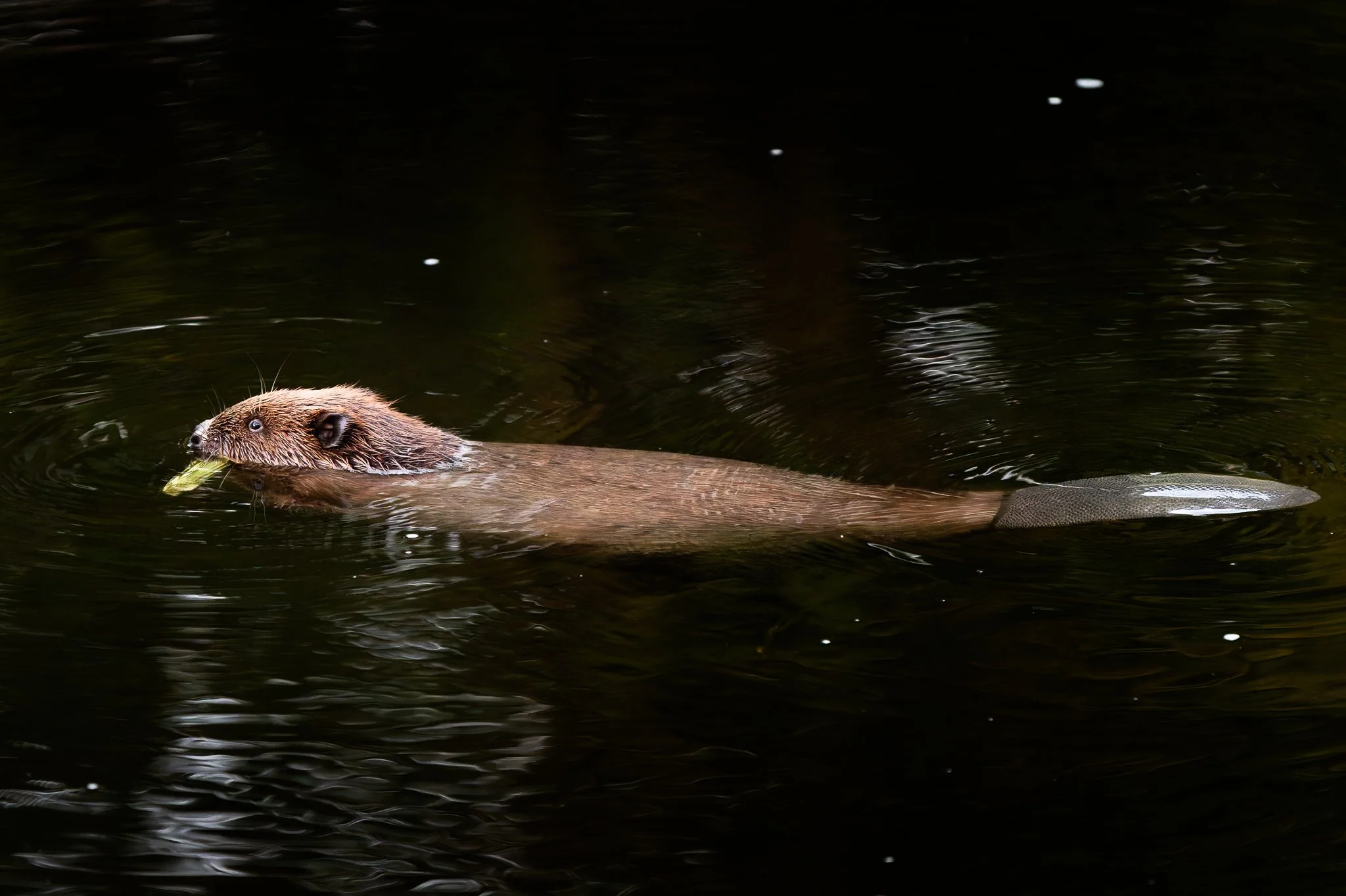 28AUG (29 of 78).jpg