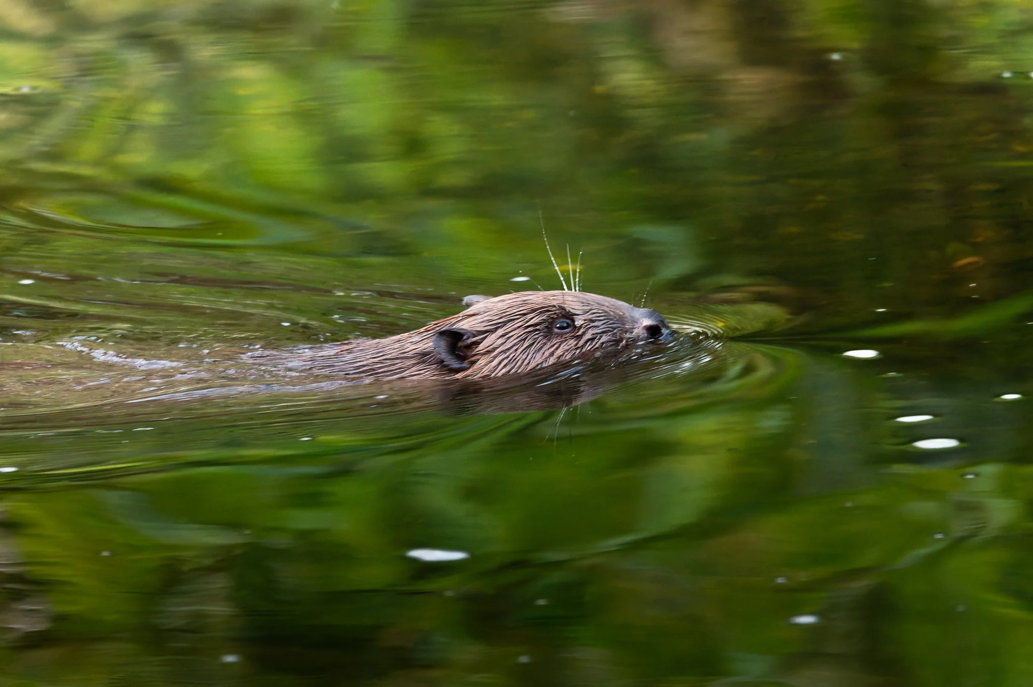 28AUG (31 of 78).jpg