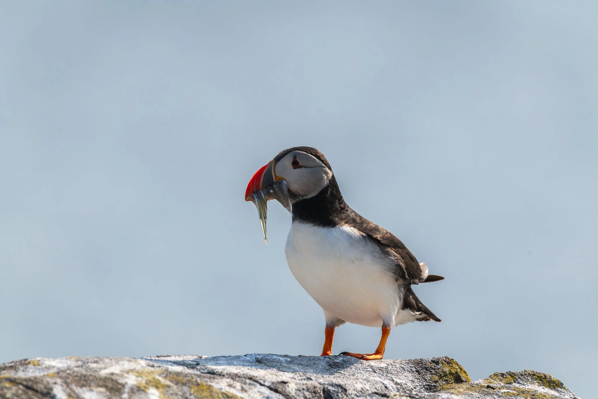 20.06.25 (44 of 51).jpg