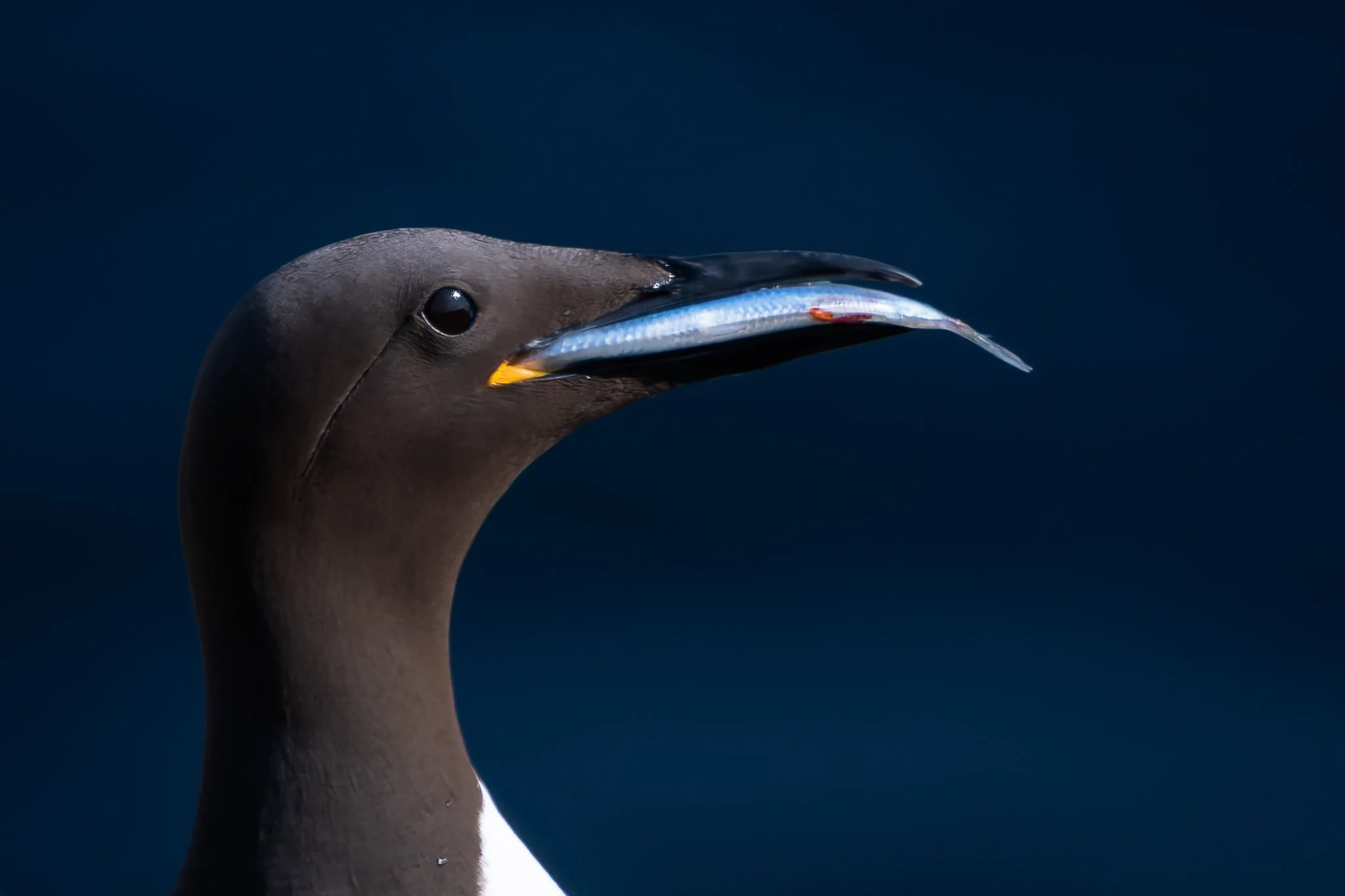 20.06.25 (50 of 51).jpg