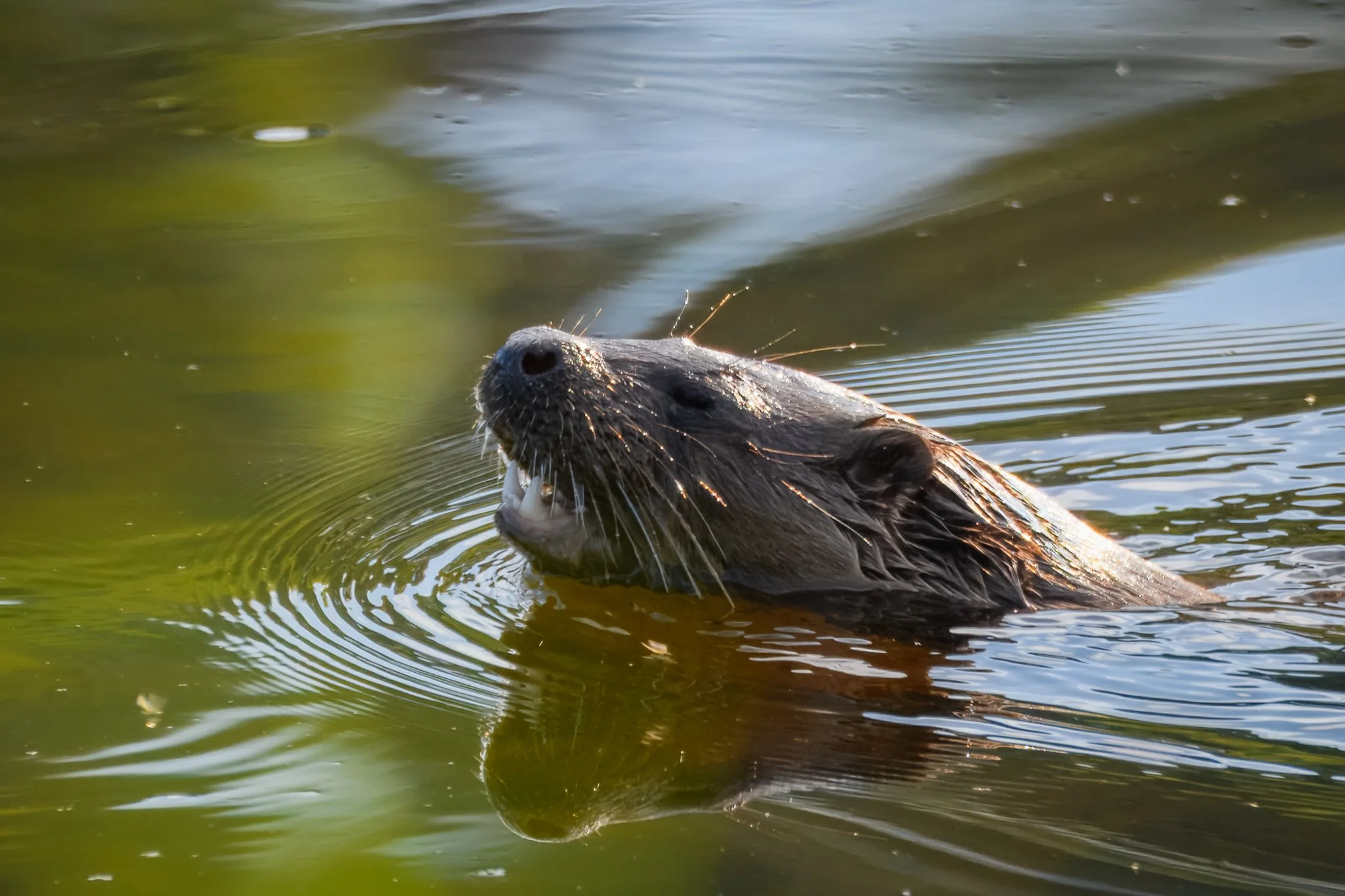 22.05.25 (14 of 34).jpg