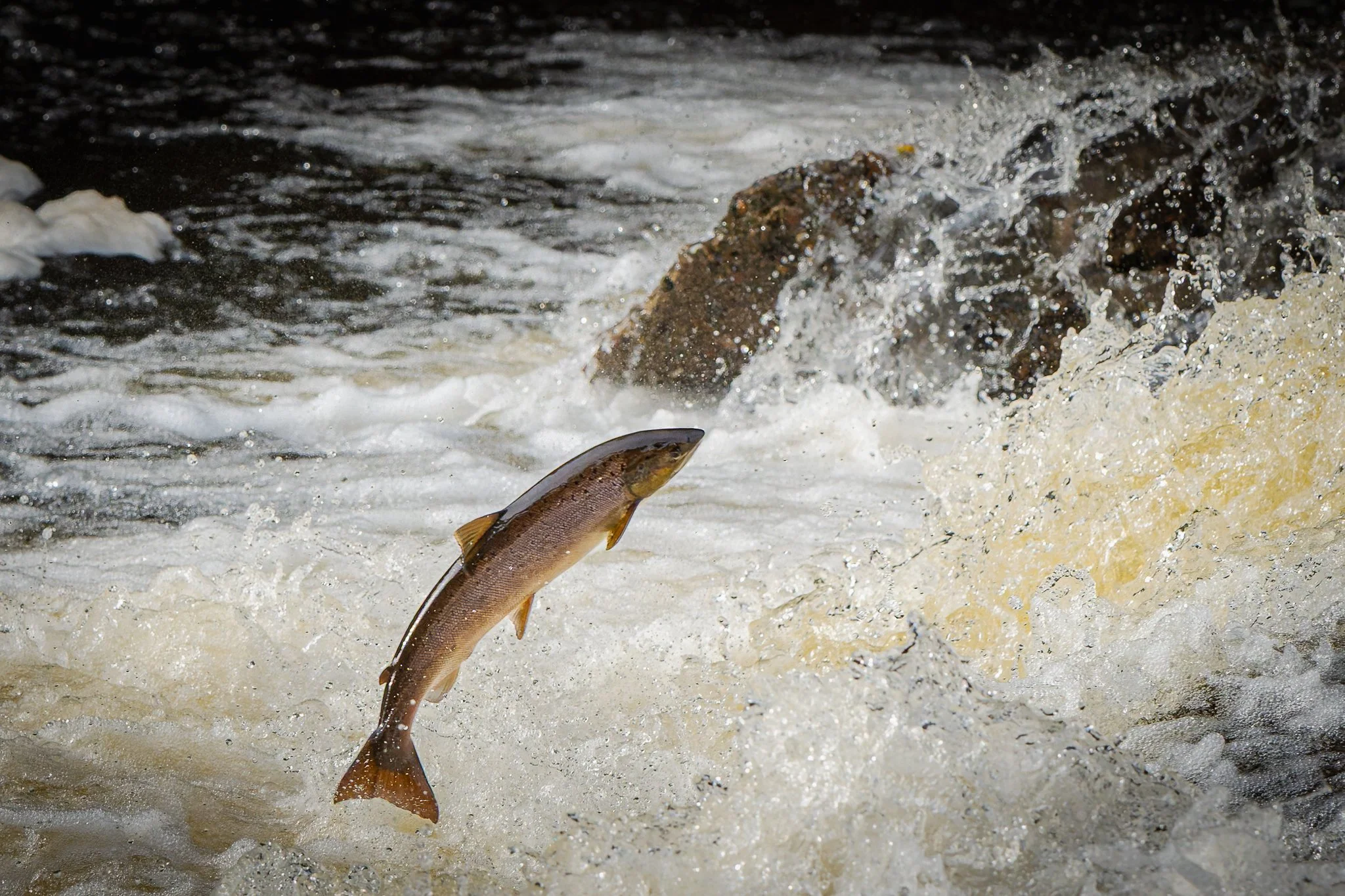 05.10.25 (35 of 45).jpg