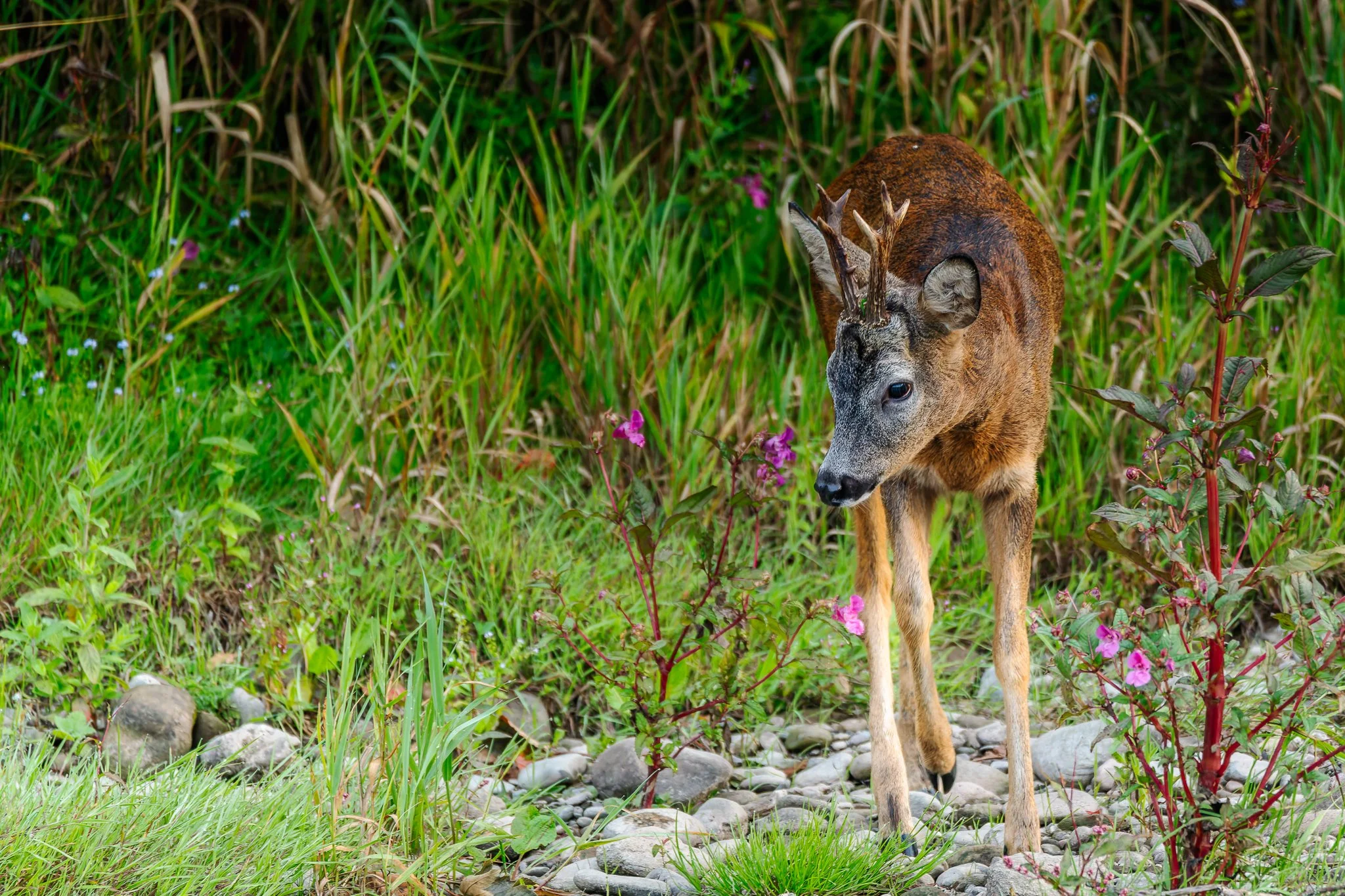 28AUG (38 of 78).jpg