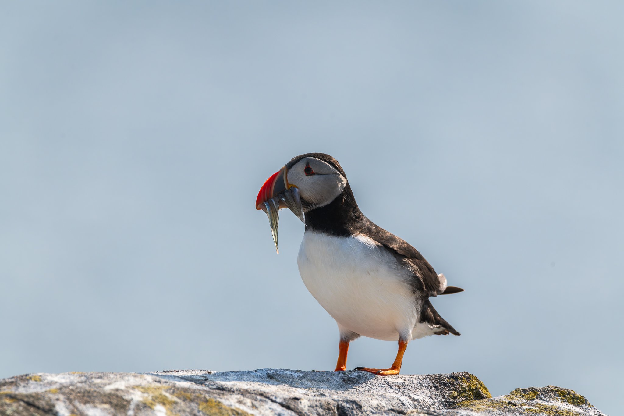 20.06.25 (44 of 51).jpg