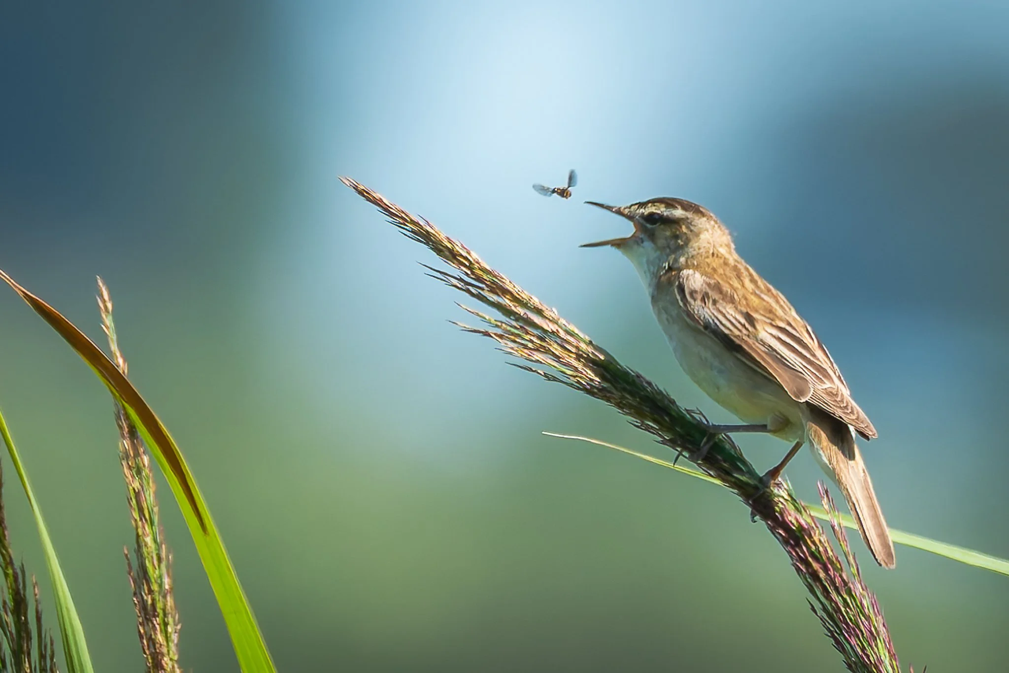 28AUG (25 of 78).jpg