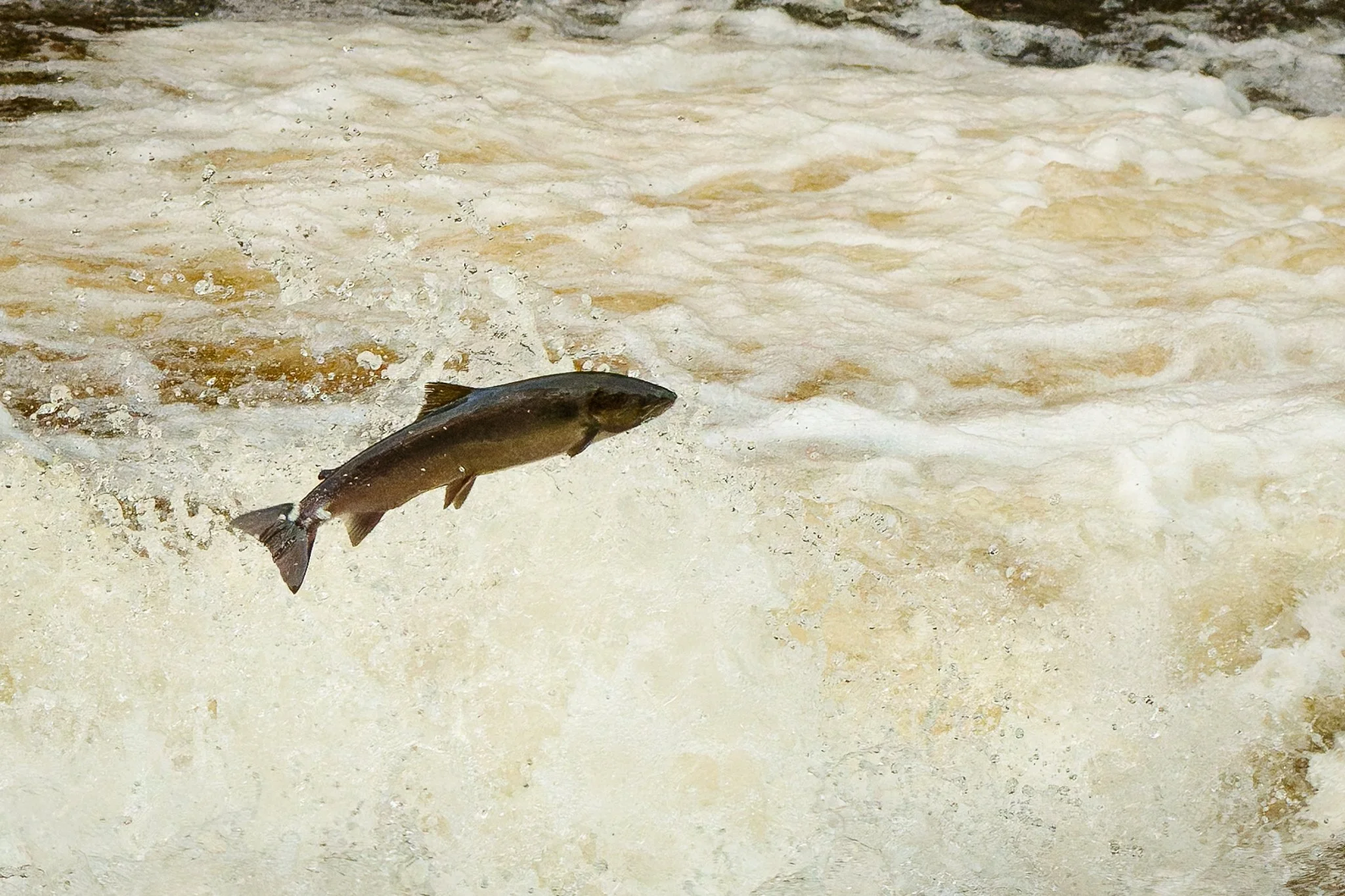 05.10.25 (1 of 45).jpg