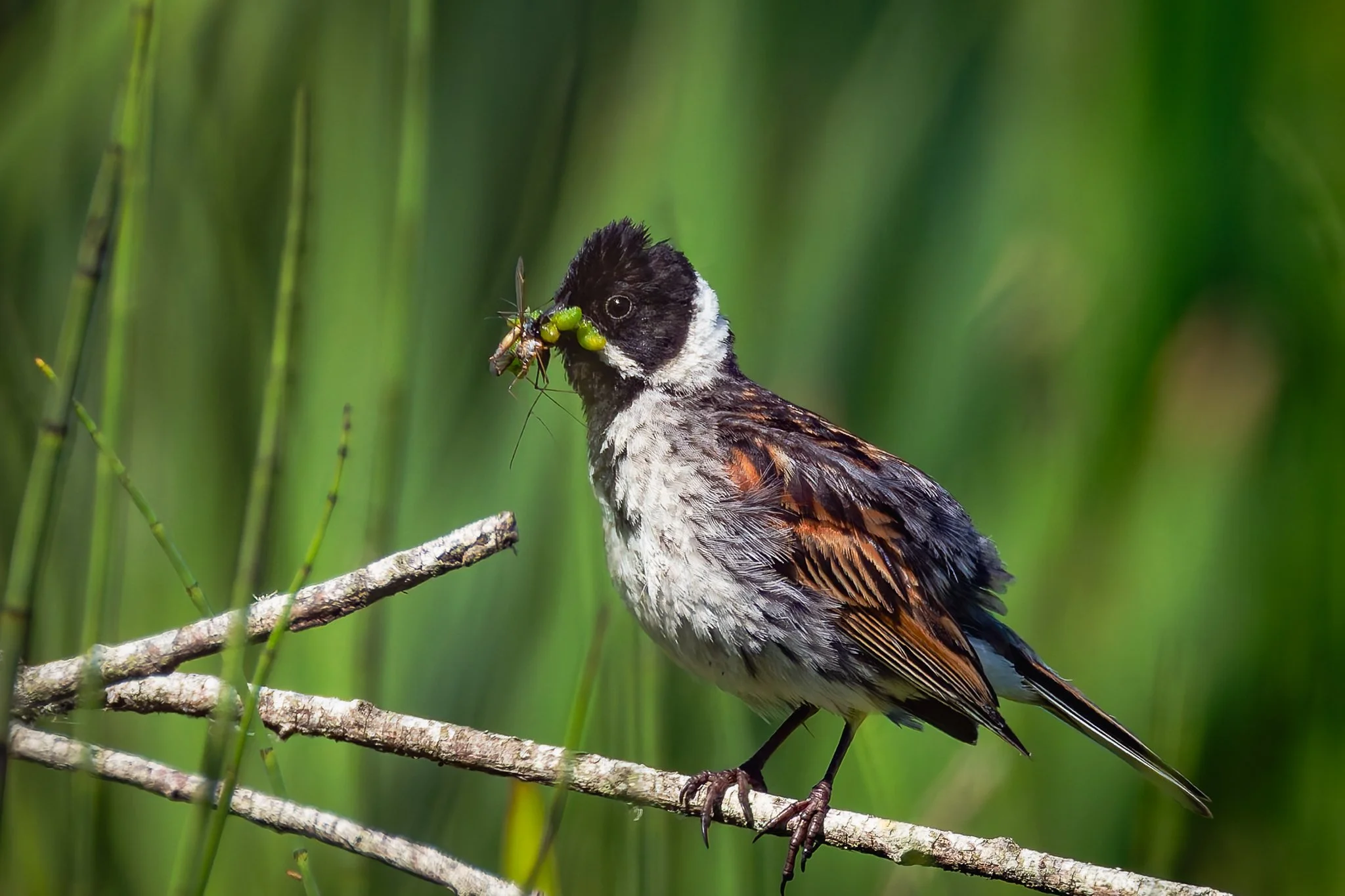 28AUG (27 of 78).jpg