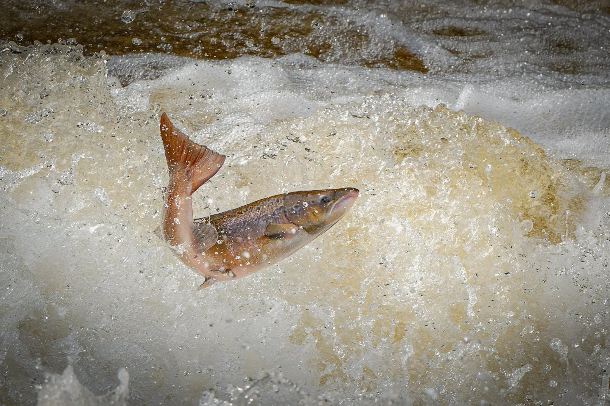 05.10.25 (43 of 45).jpg