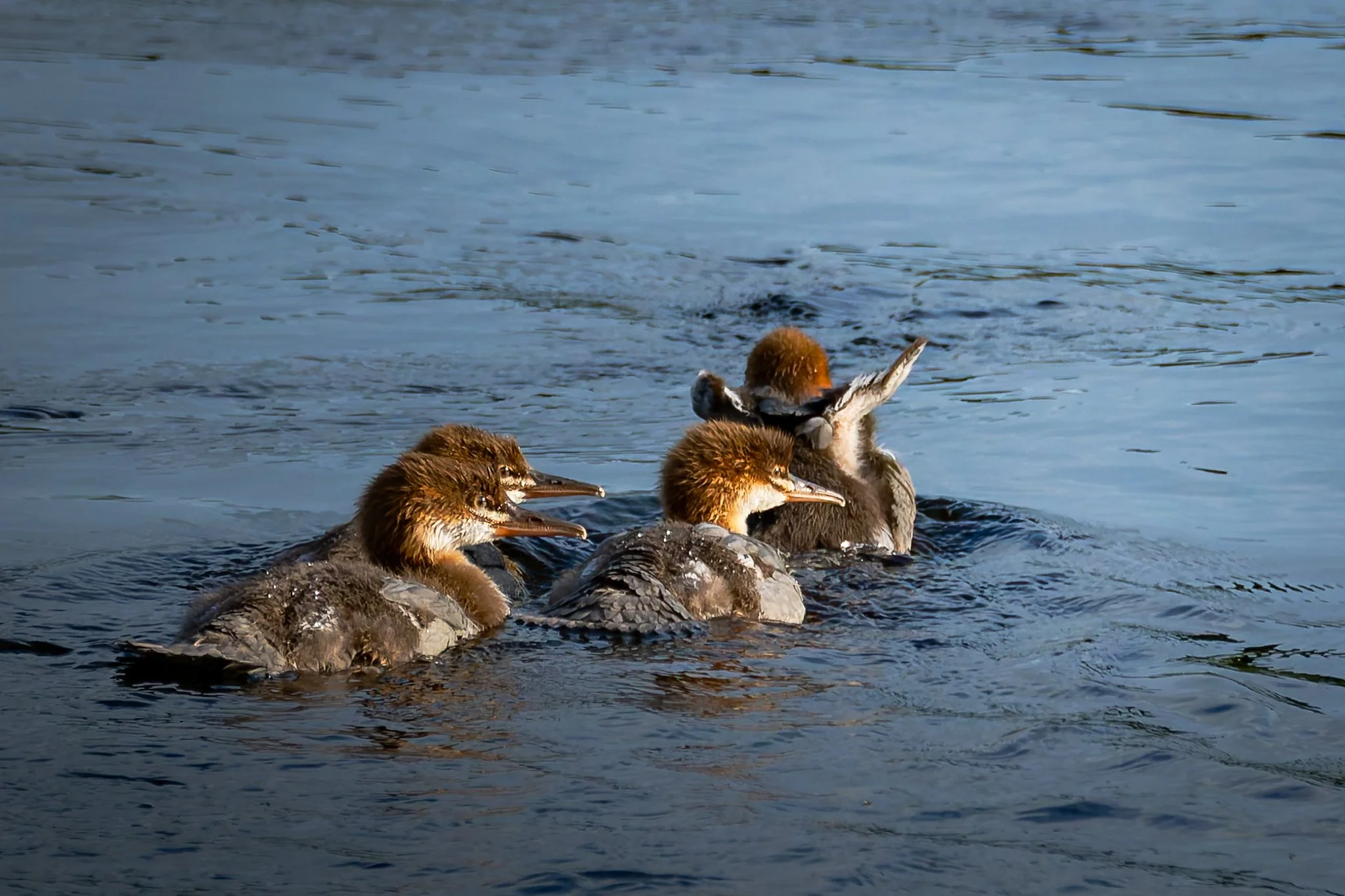 28AUG (10 of 78).jpg