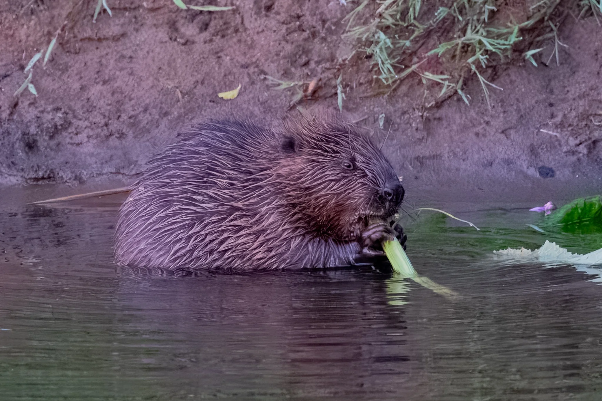 03.08.24 (26 of 36).jpg