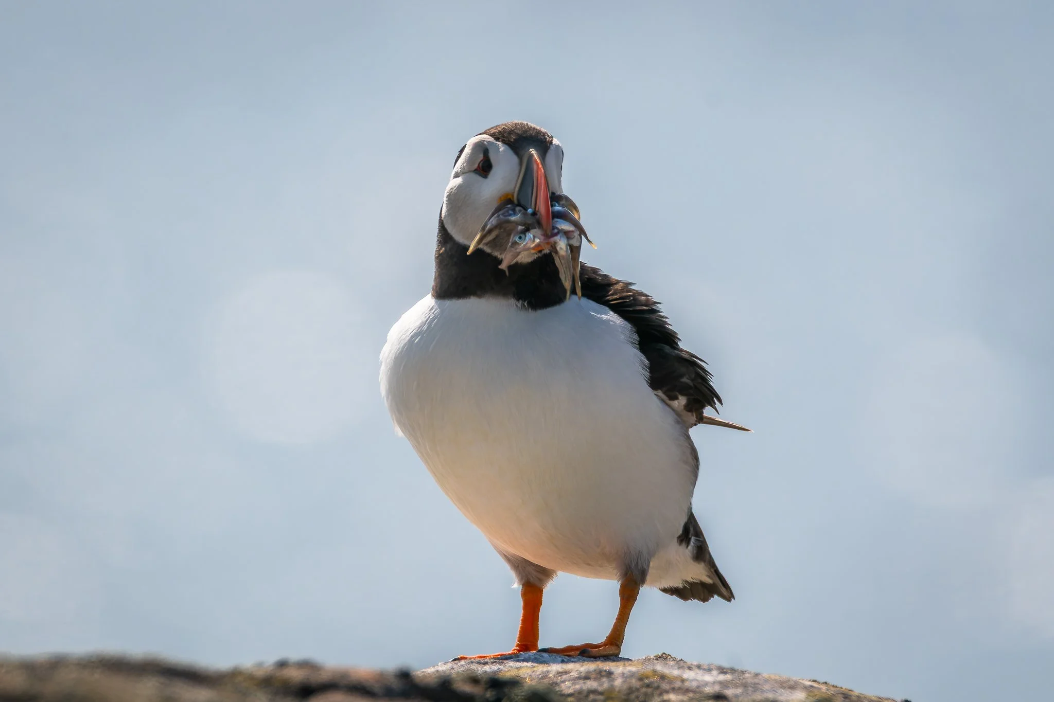 20.06.25 (39 of 51).jpg