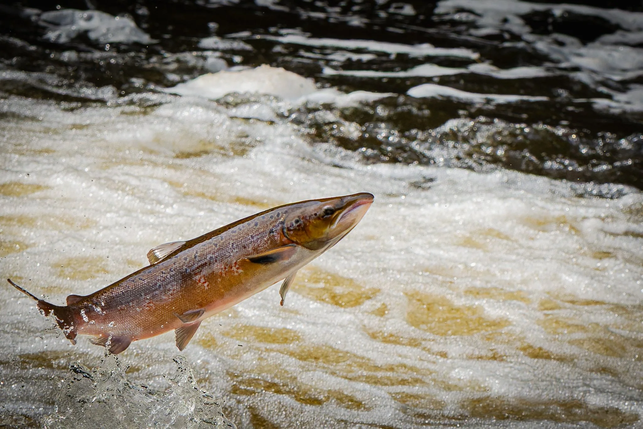 05.10.25 (42 of 45).jpg