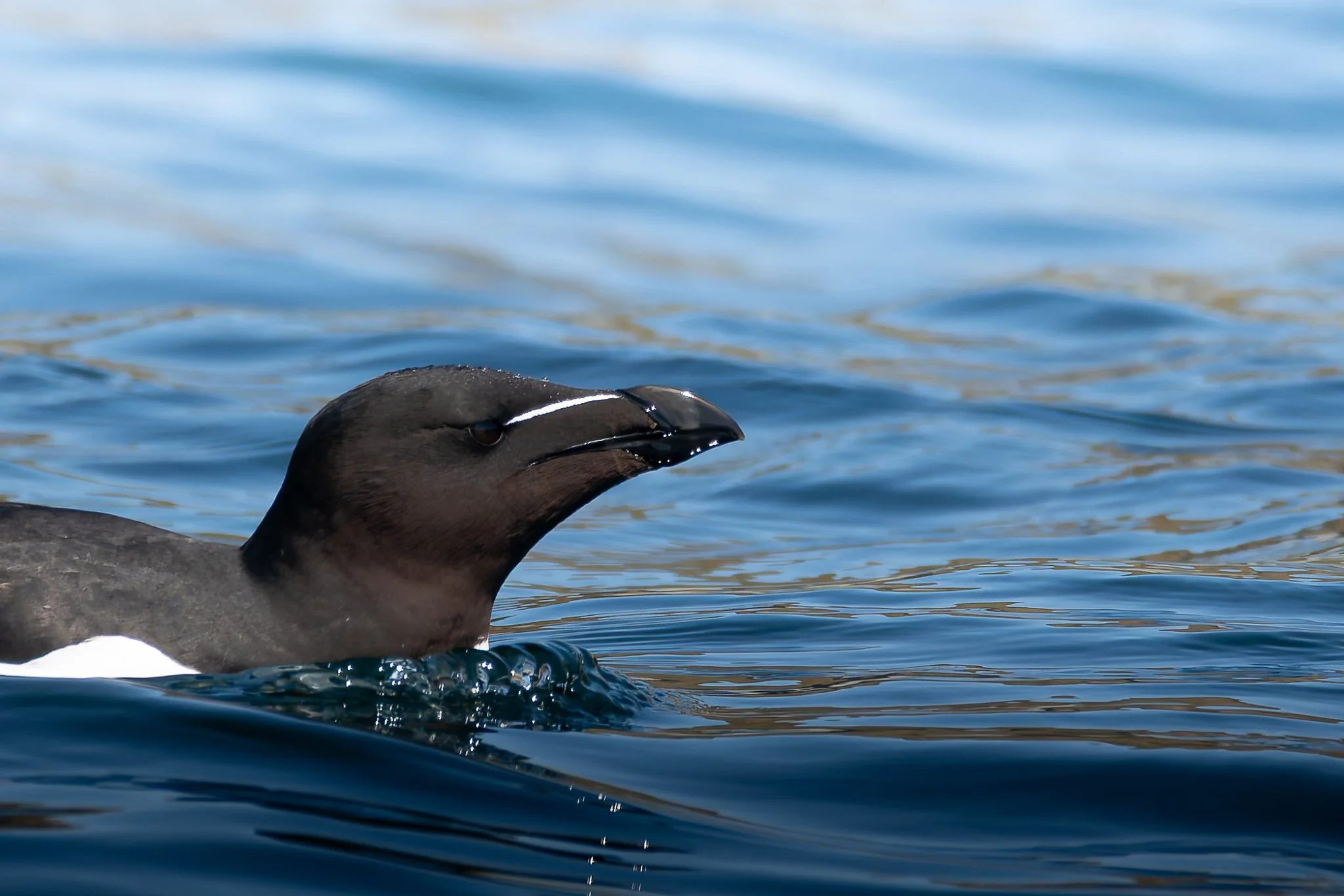 20.06.25 (31 of 51).jpg