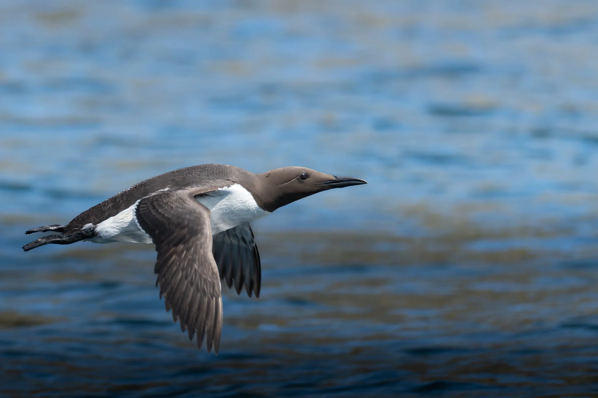 20.06.25 (33 of 51).jpg