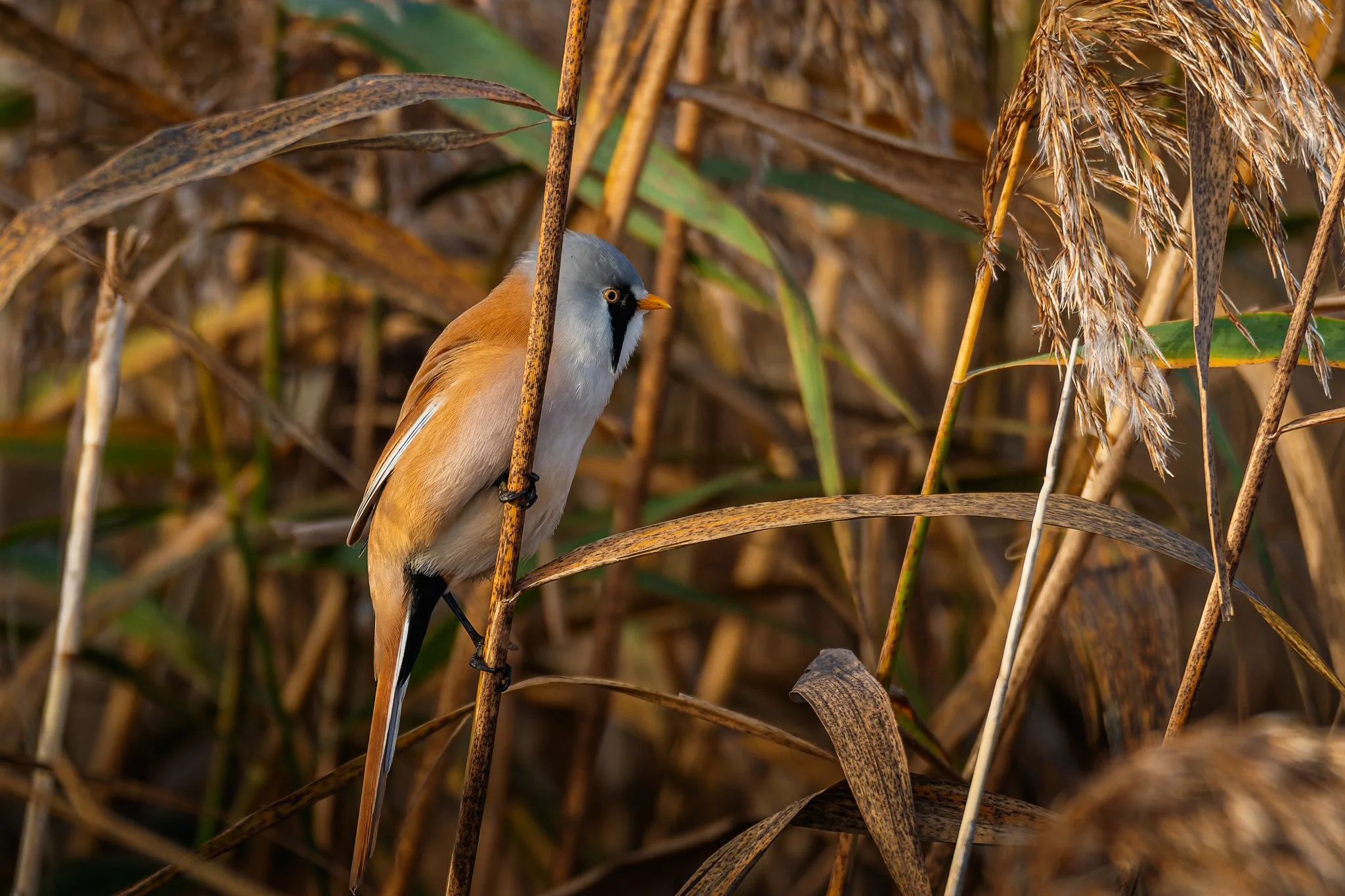 15OCT25 (2 of 11).jpg