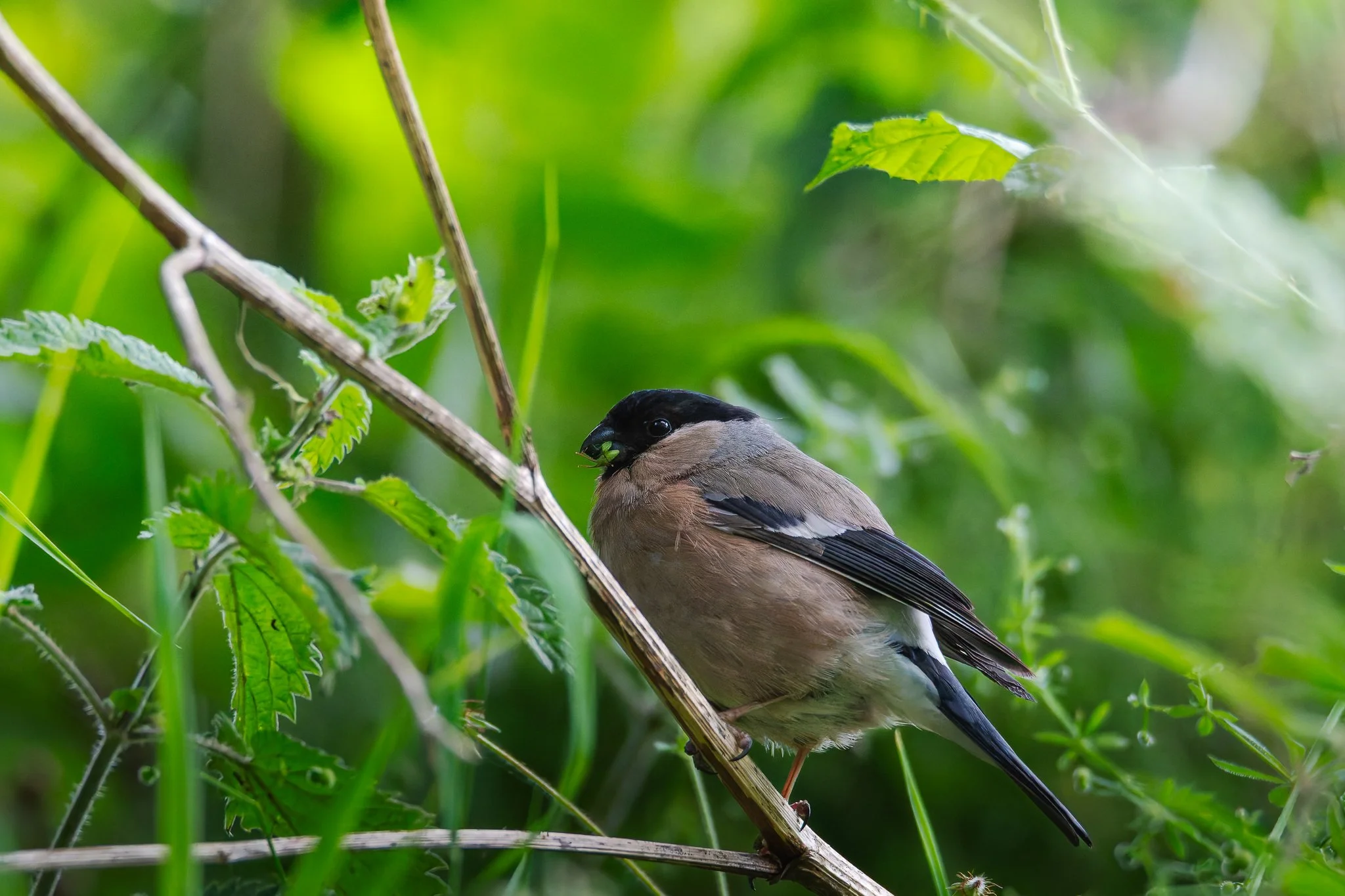 28AUG (13 of 78).jpg