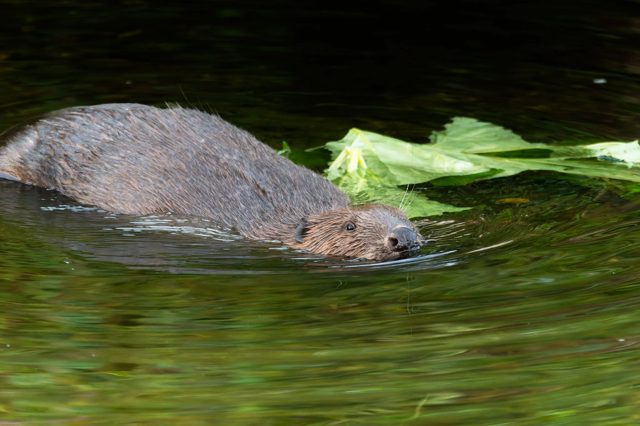 28AUG (36 of 78).jpg