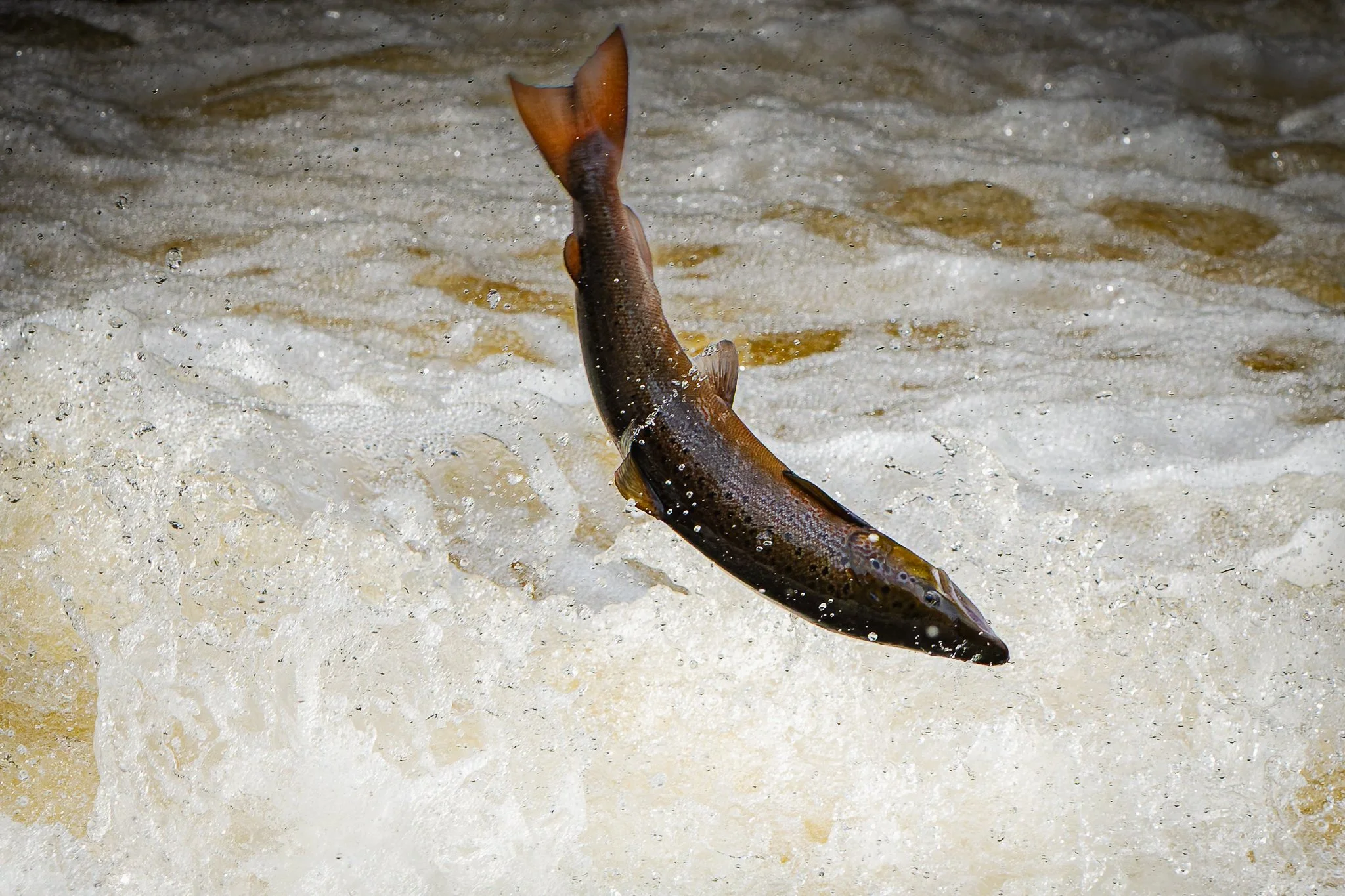 05.10.25 (32 of 45).jpg