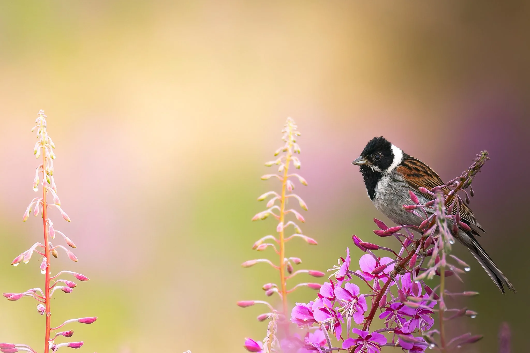 28AUG (19 of 78).jpg