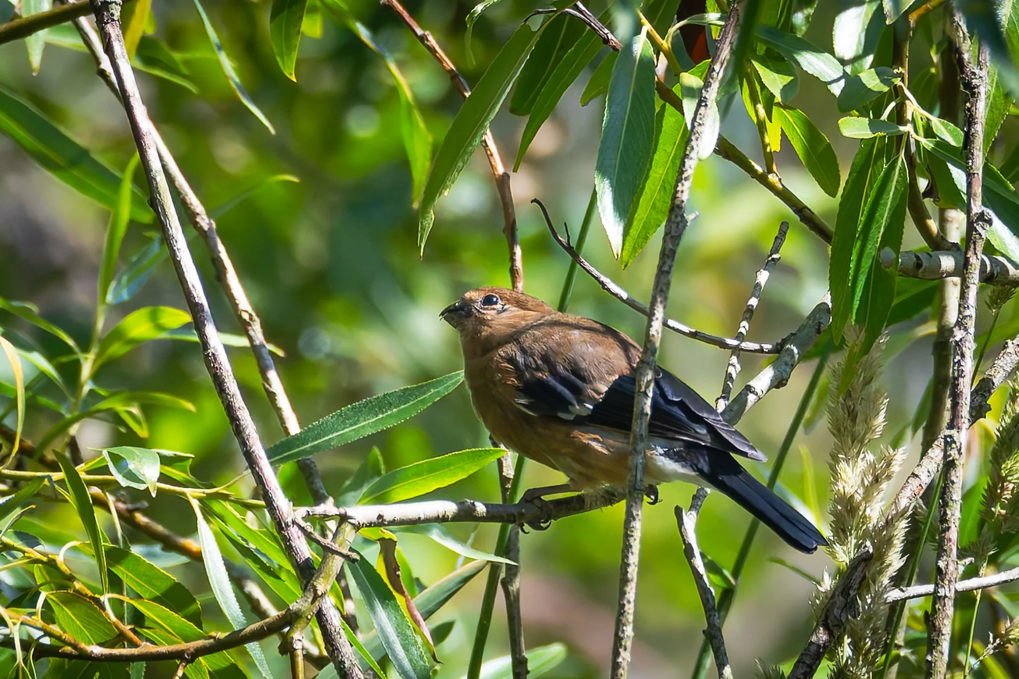 28AUG (23 of 78).jpg