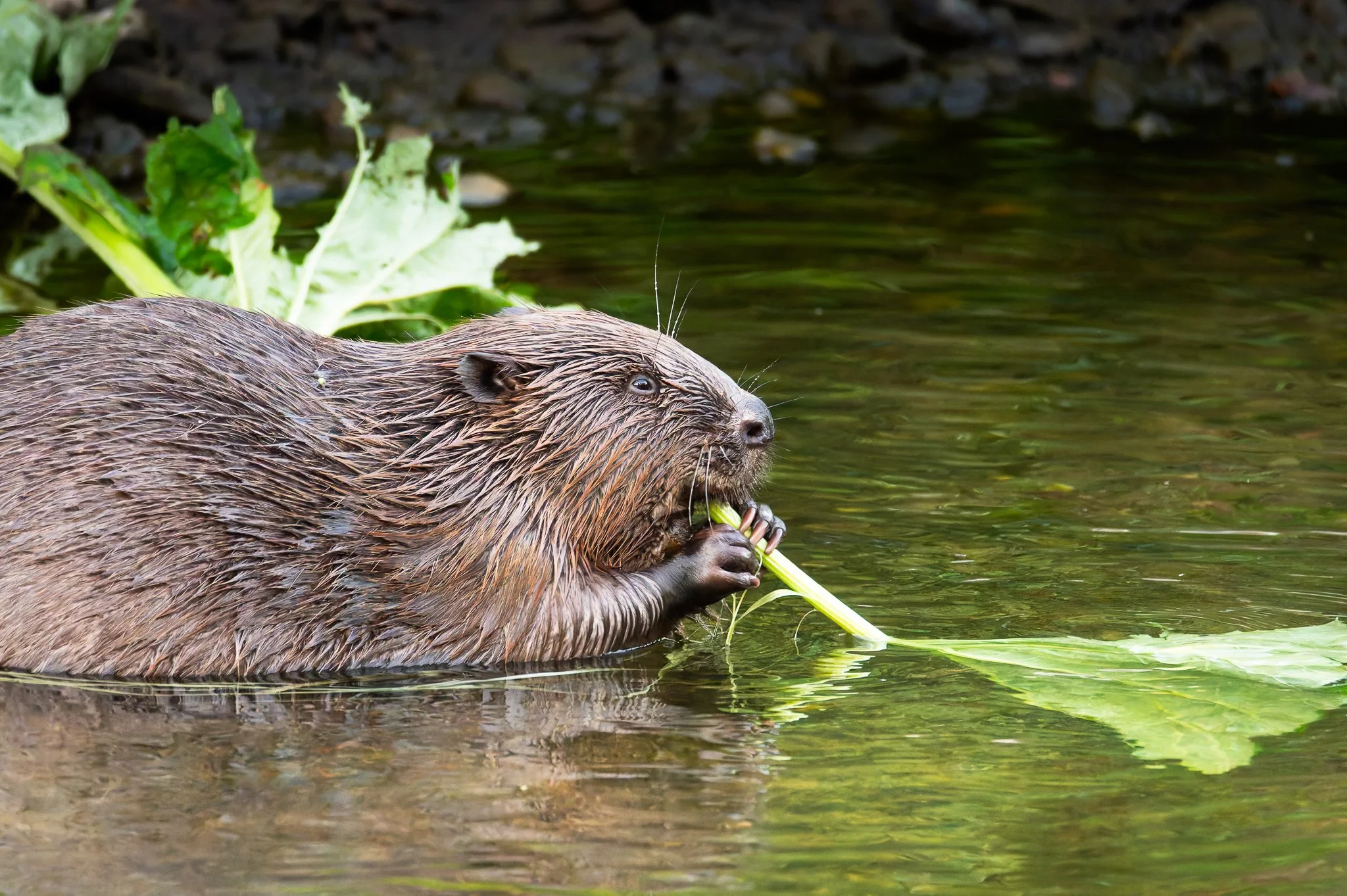 28AUG (33 of 78).jpg