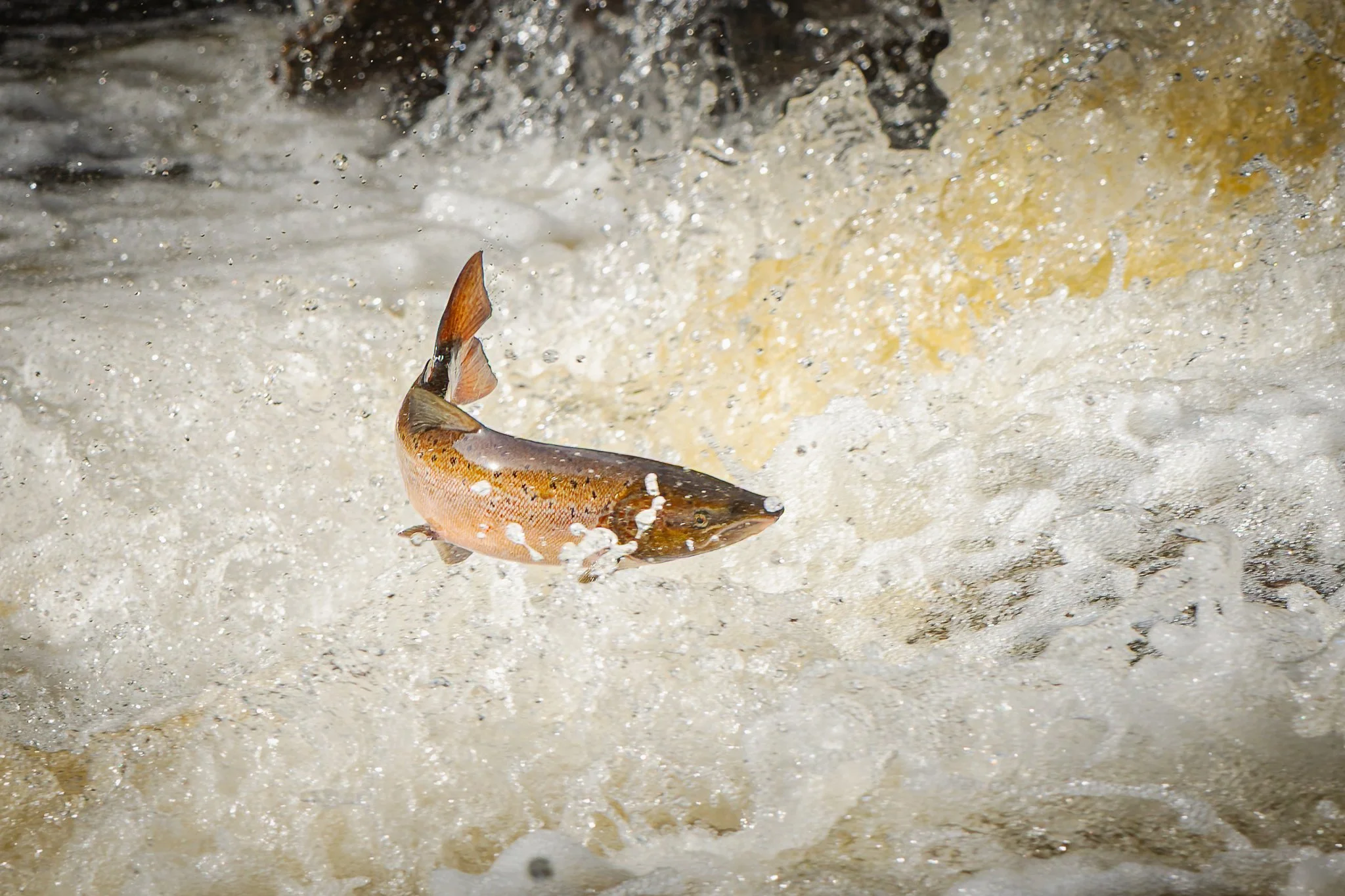 05.10.25 (23 of 45).jpg